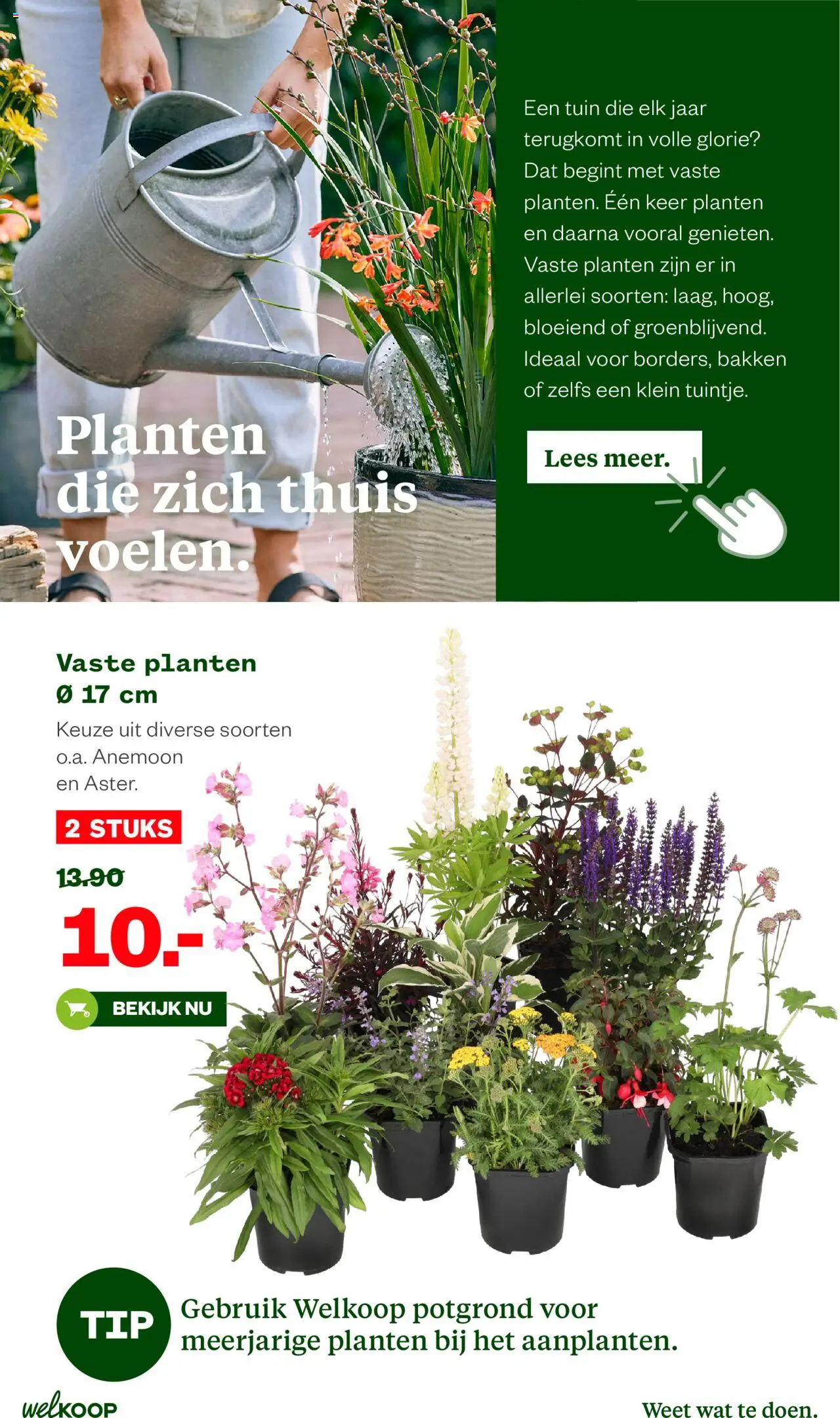 Welkoop - Folder - pagina 11- geldig vanaf 14-07-2025