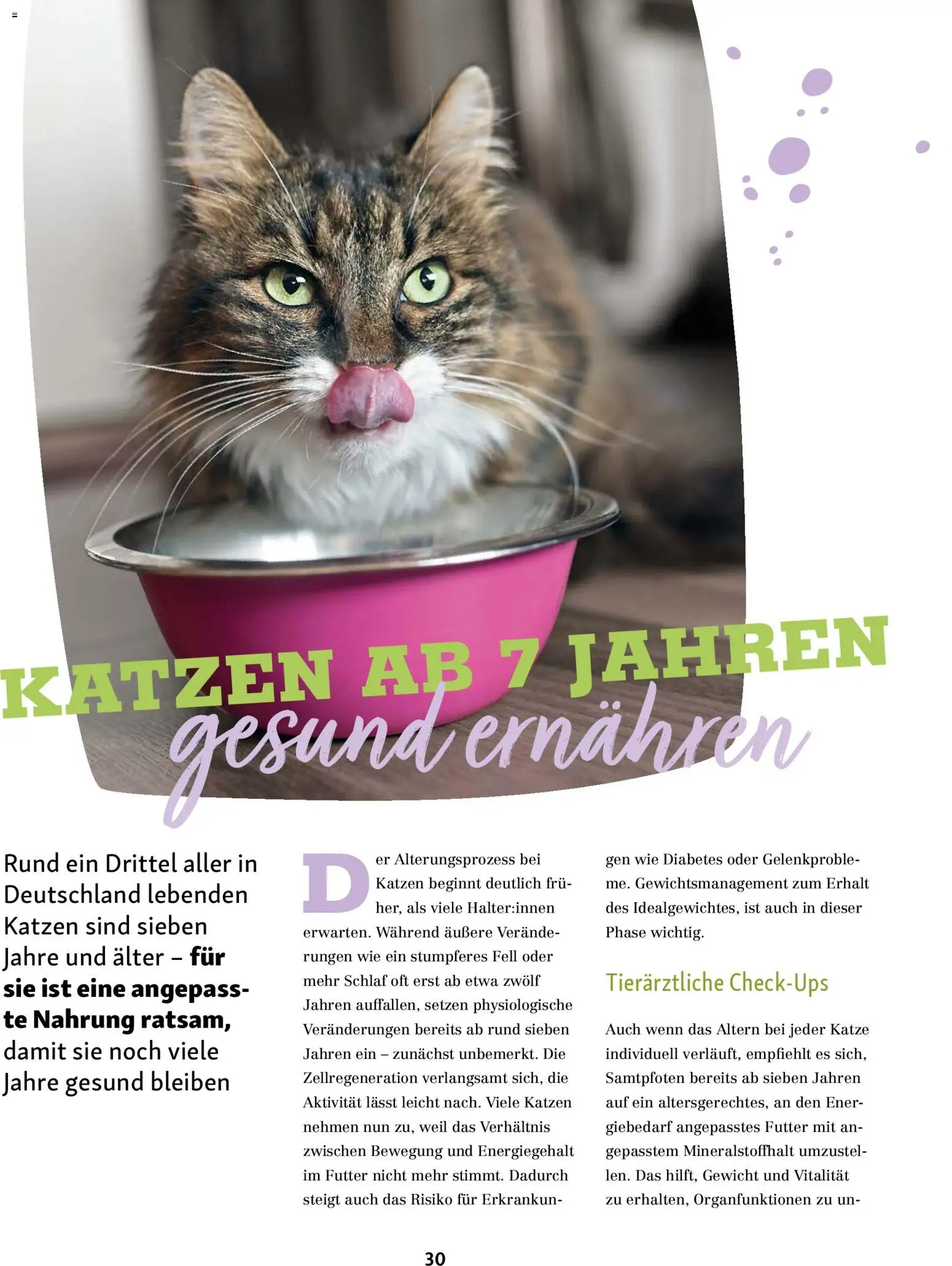 Fressnapf Friends Magazin - Seite 30 - gültig ab 02.03.2026