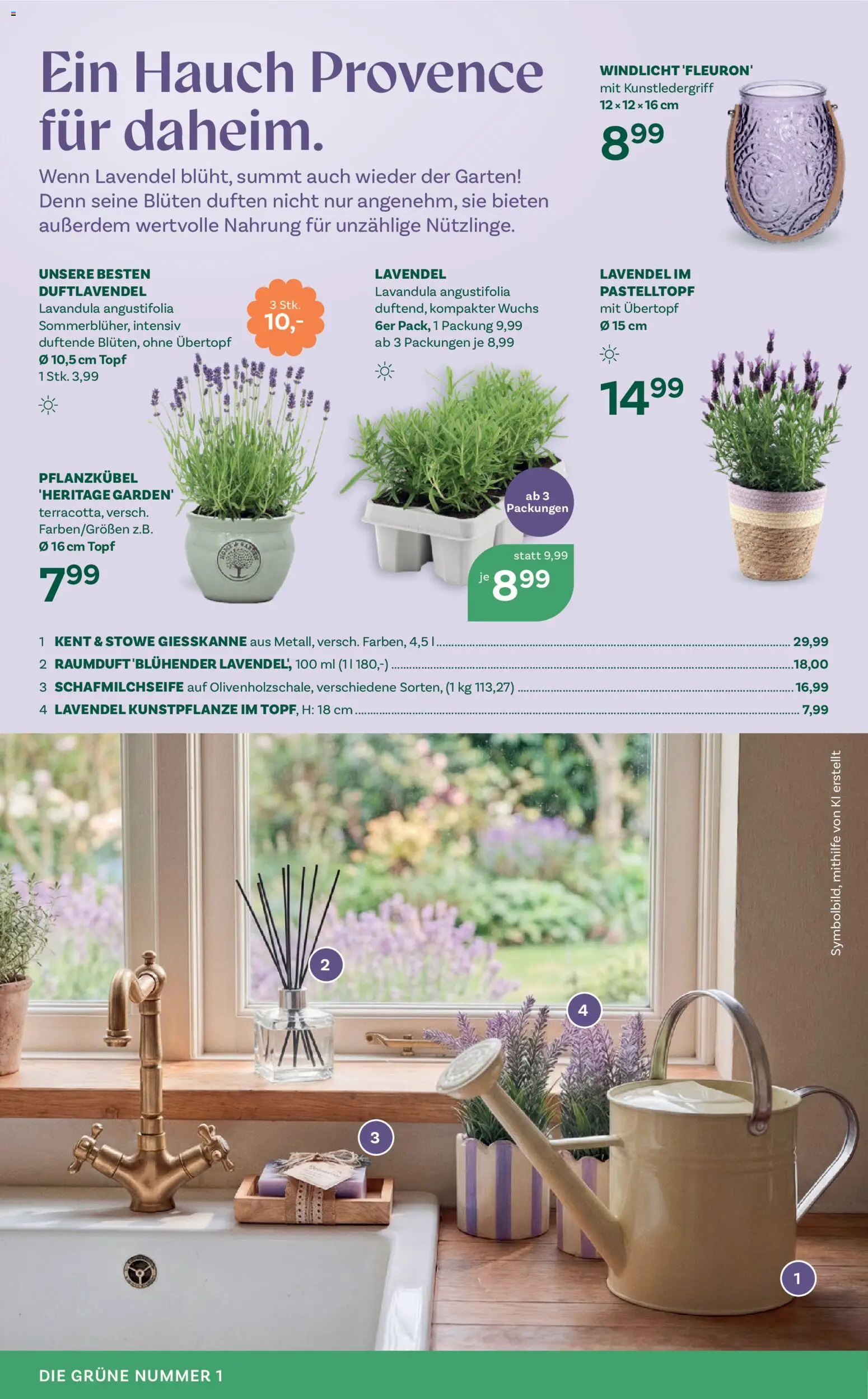 bellaflora Flugblatt - page 6- valid from 02.04.2026