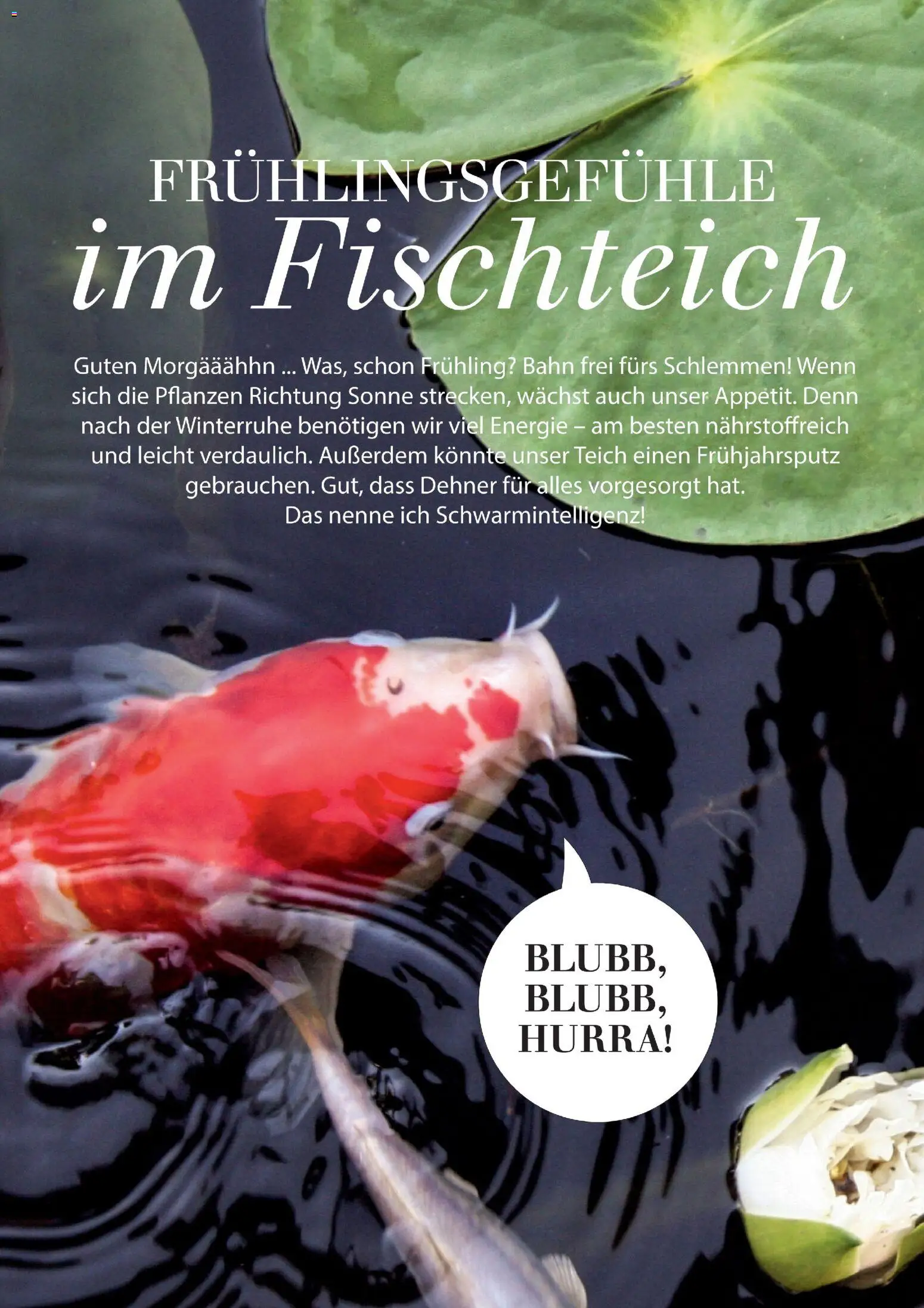 Dehner Flugblatt - page 90- valid from 05.03.2026