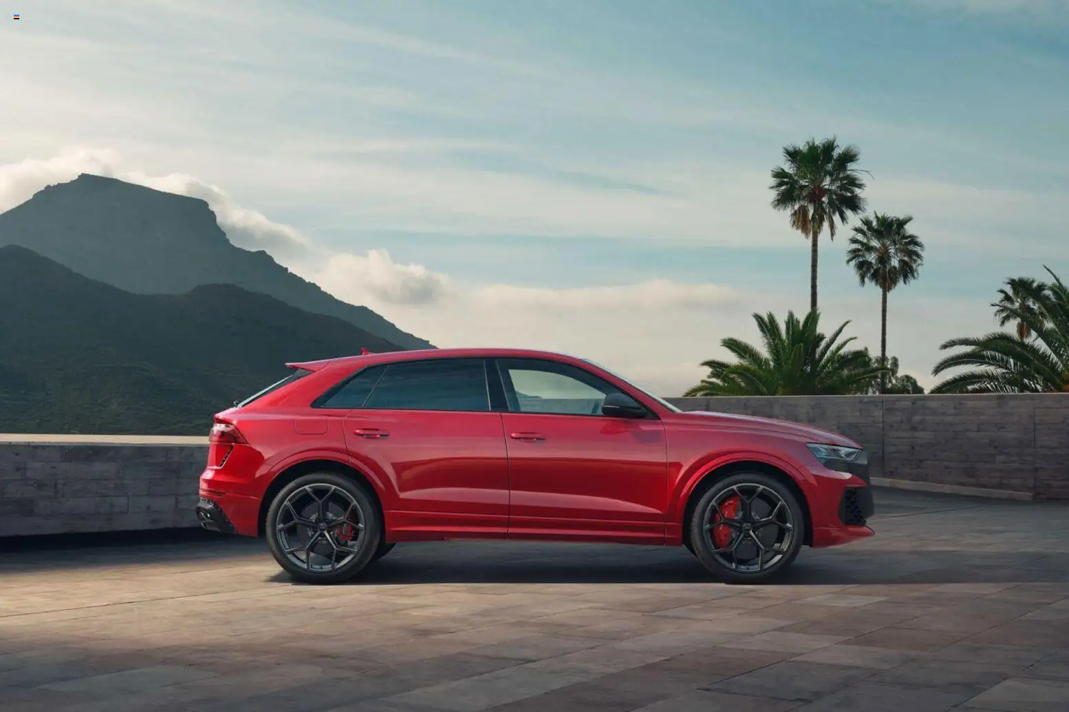 Audi RS Q8 / RS Q8 performance - Seite 113 - gültig ab 27.11.2025