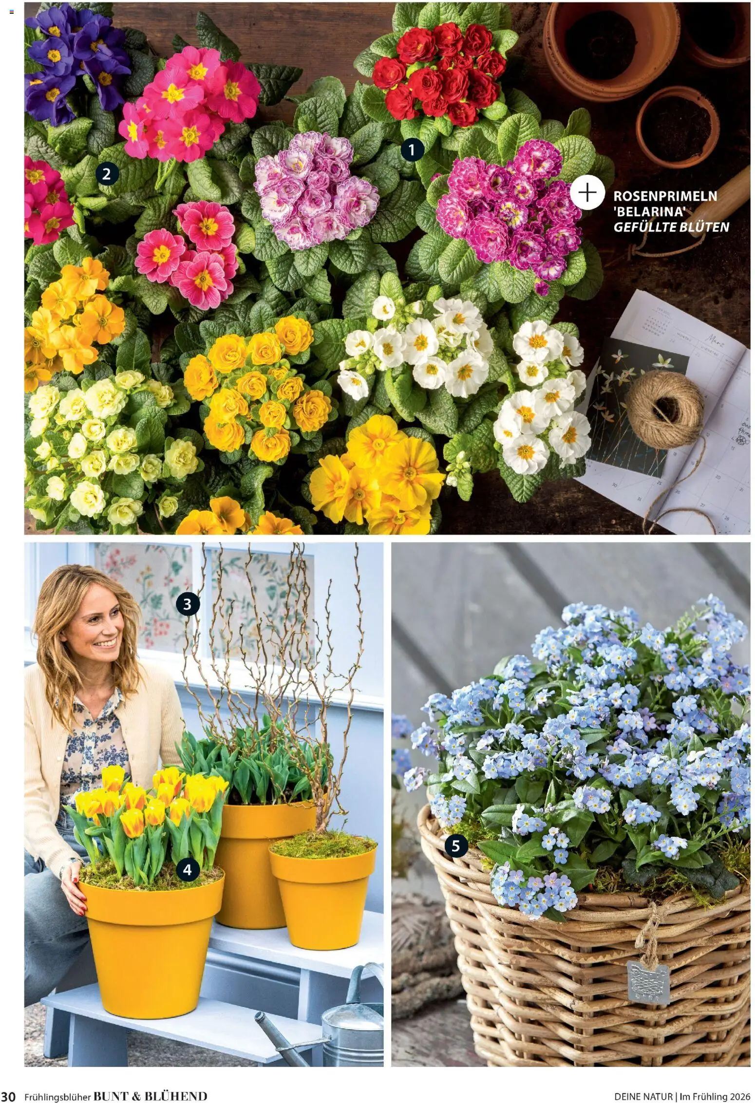 Dehner Flugblatt - page 30- valid from 05.03.2026