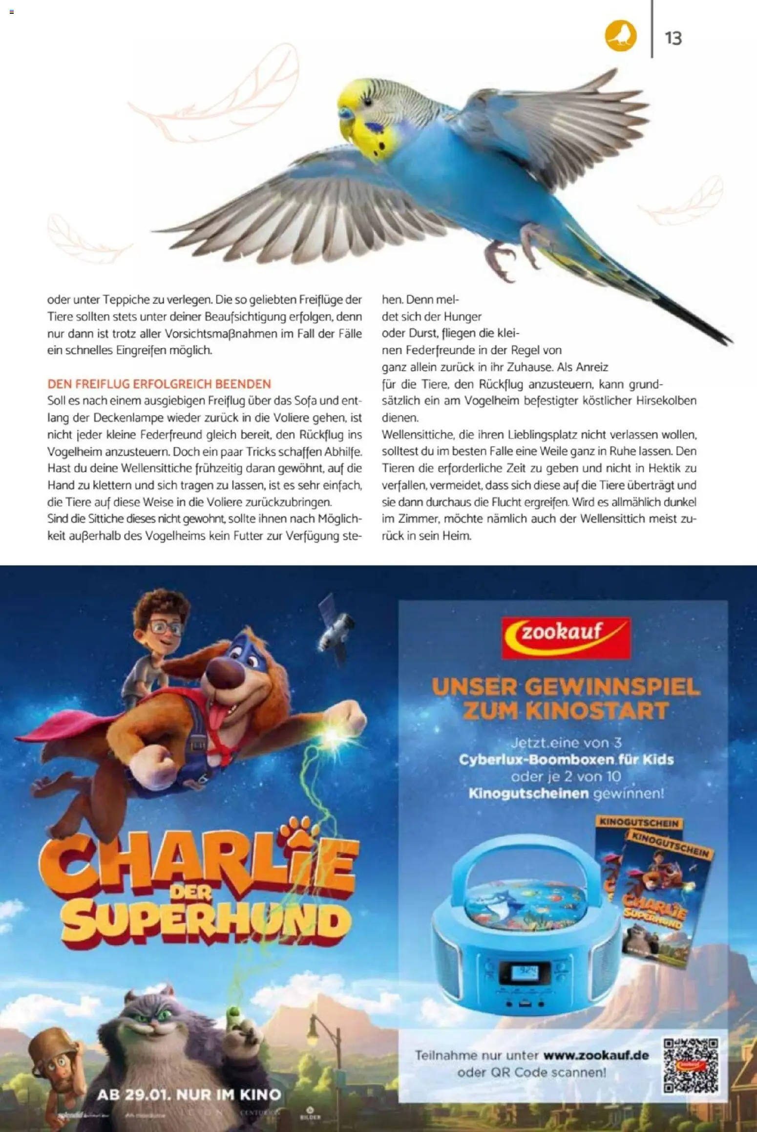 zookauf  Heimtier Journal - Seite 13 - gültig ab 01.02.2026