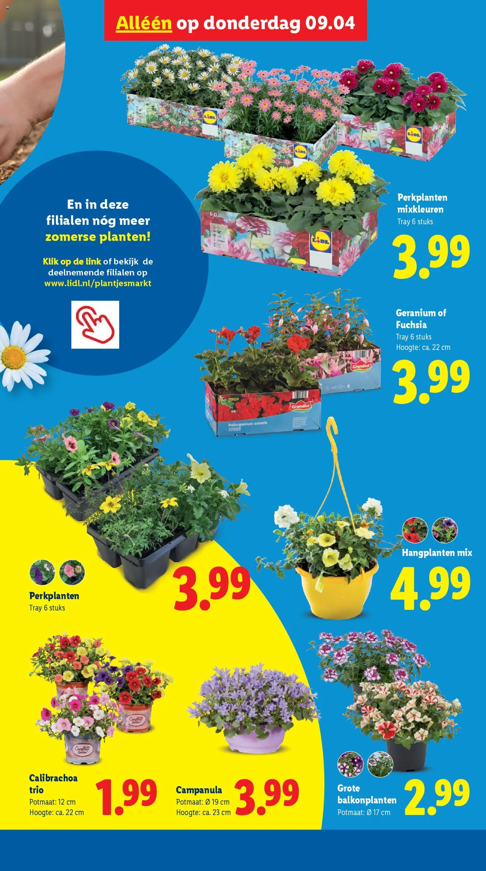 Lidl folder week 15 - page 36- valid from 07-04-2026