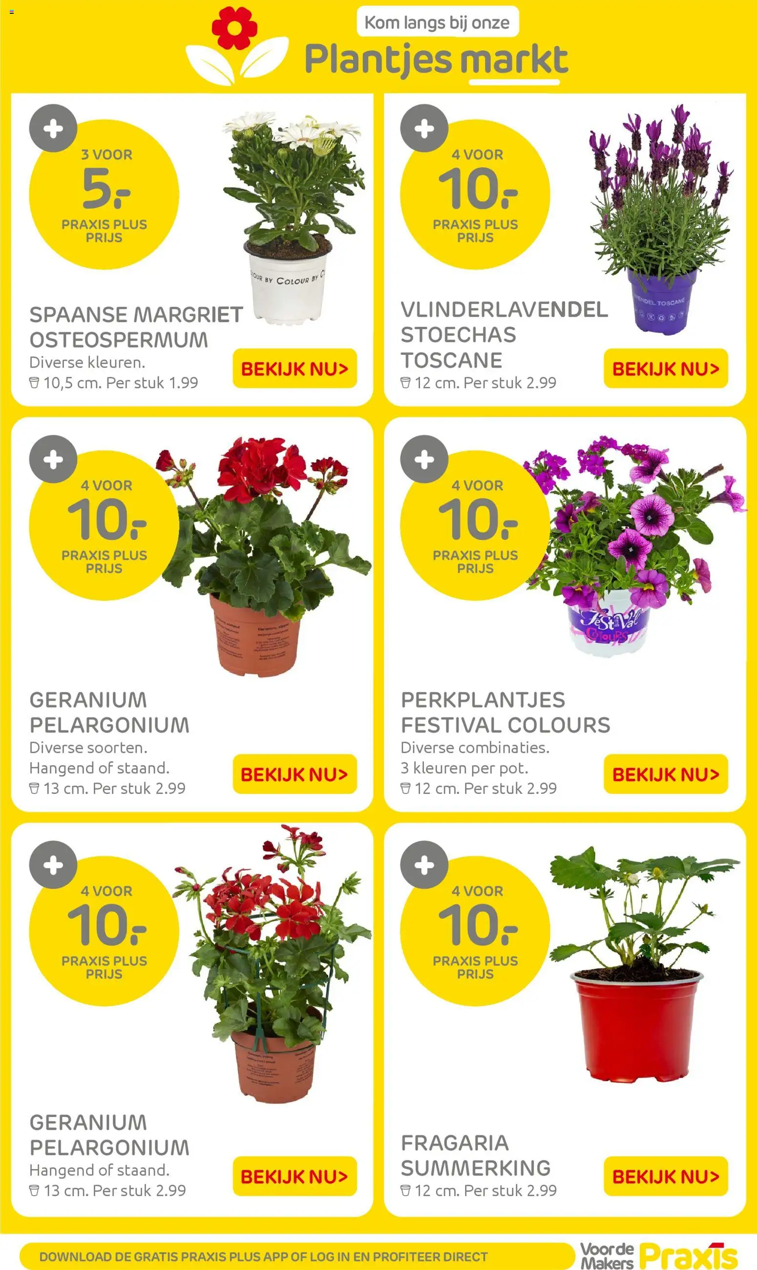 Praxis folder - page 26- valid from 30-03-2026