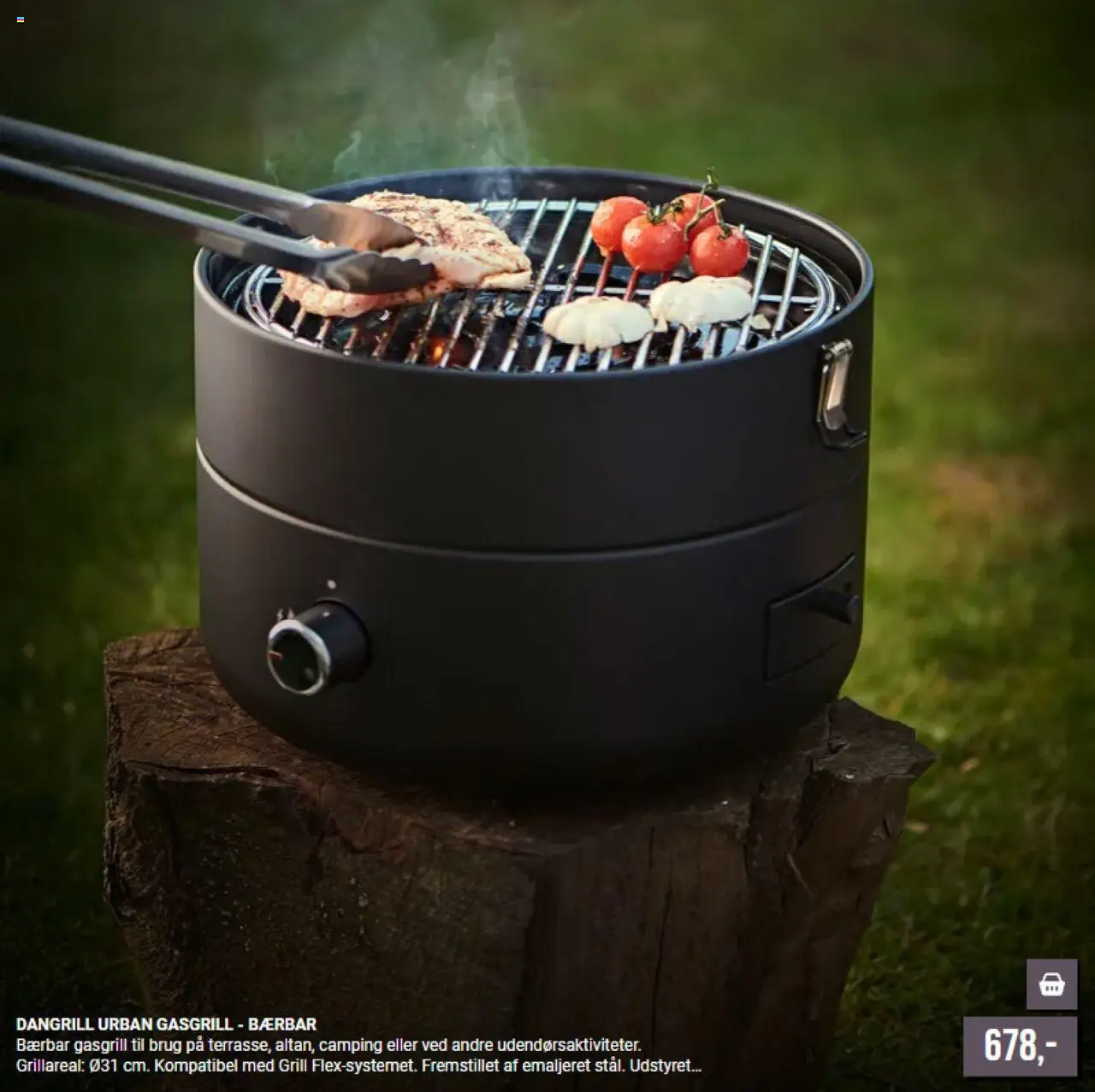 Harald Nyborg - Grill - page 4- valid from 01/01/2026