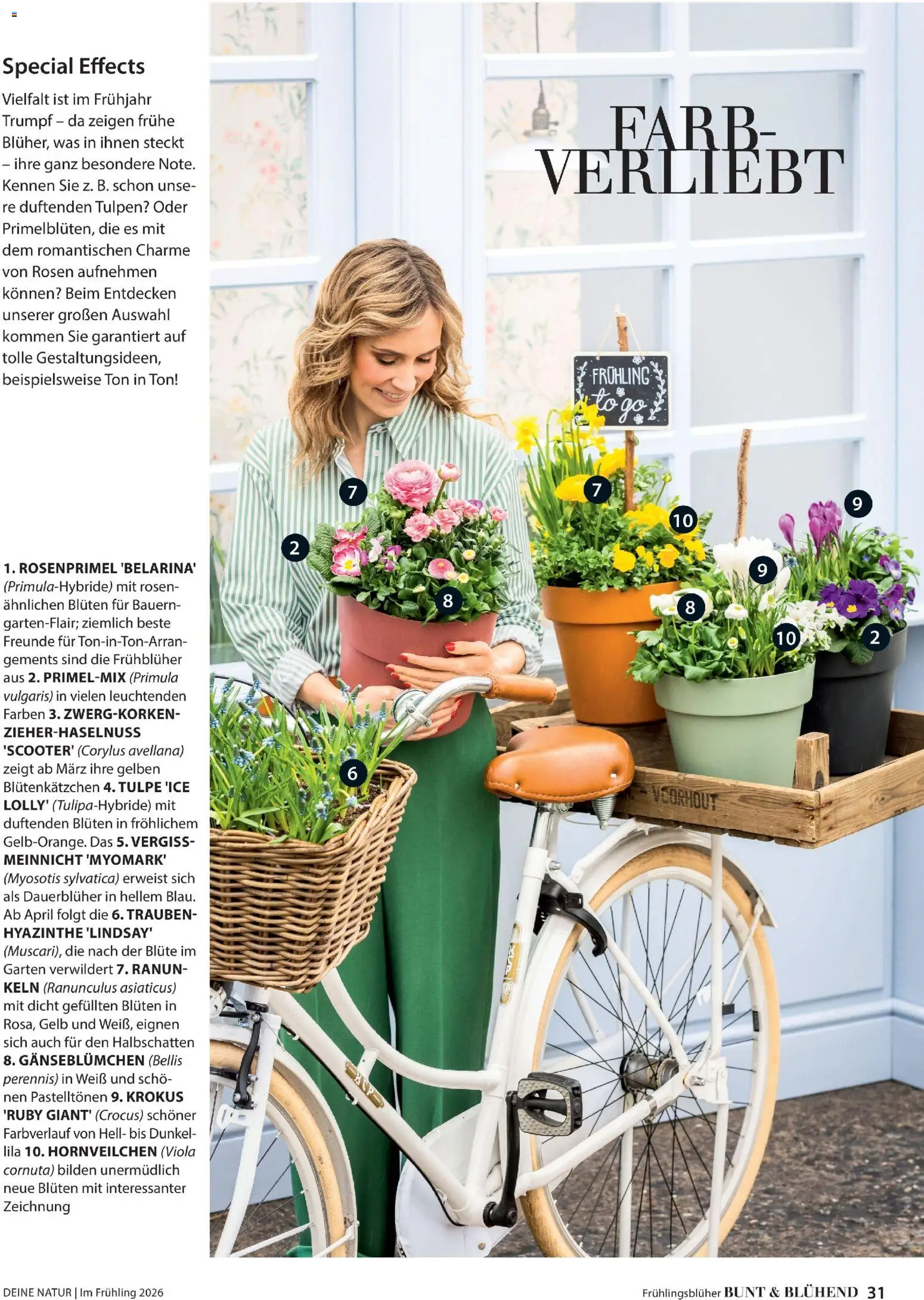 Dehner Prospekt 	 - Seite 31 - gültig ab 04.03.2026