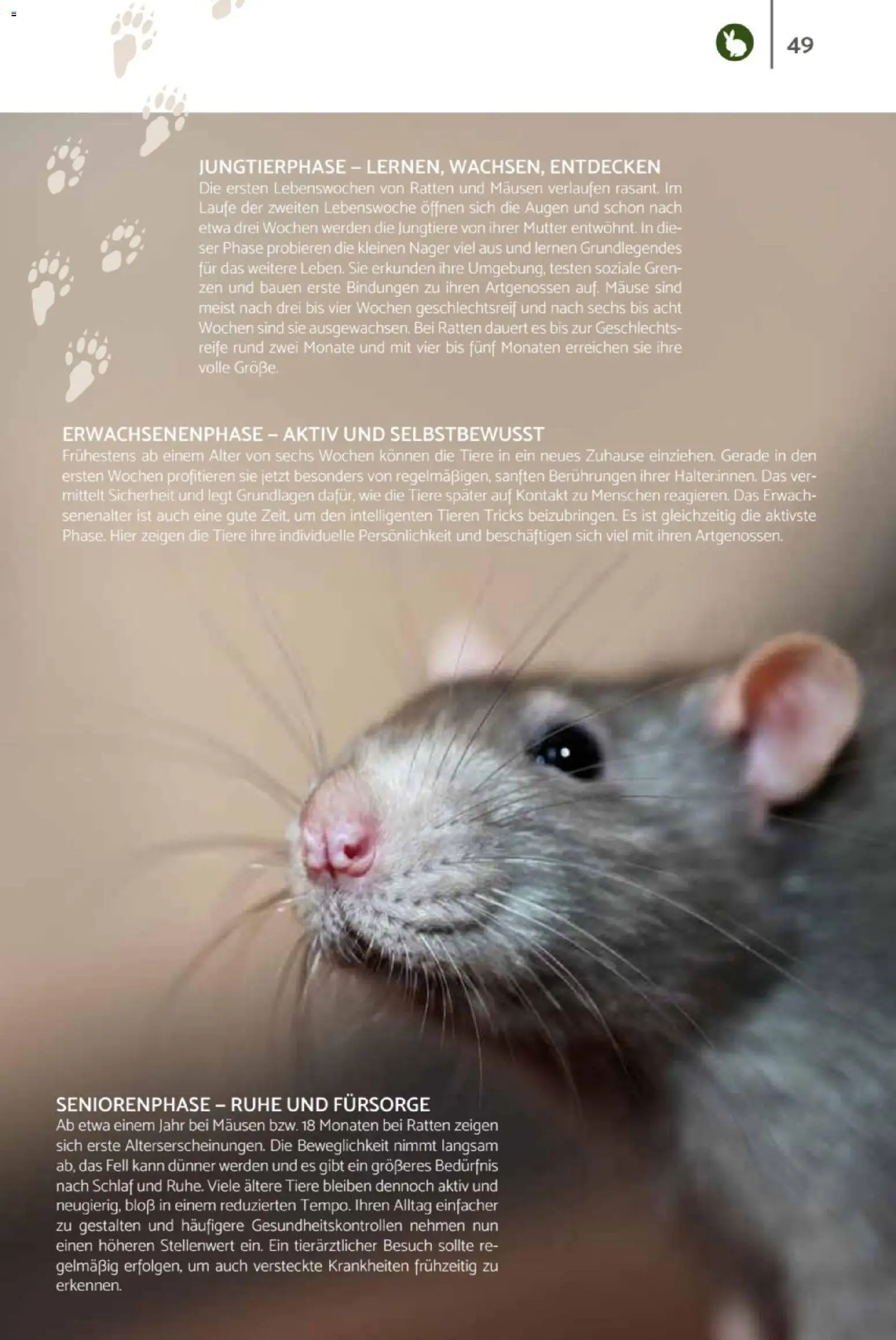 zookauf  Heimtier Journal - Seite 49 - gültig ab 01.02.2026