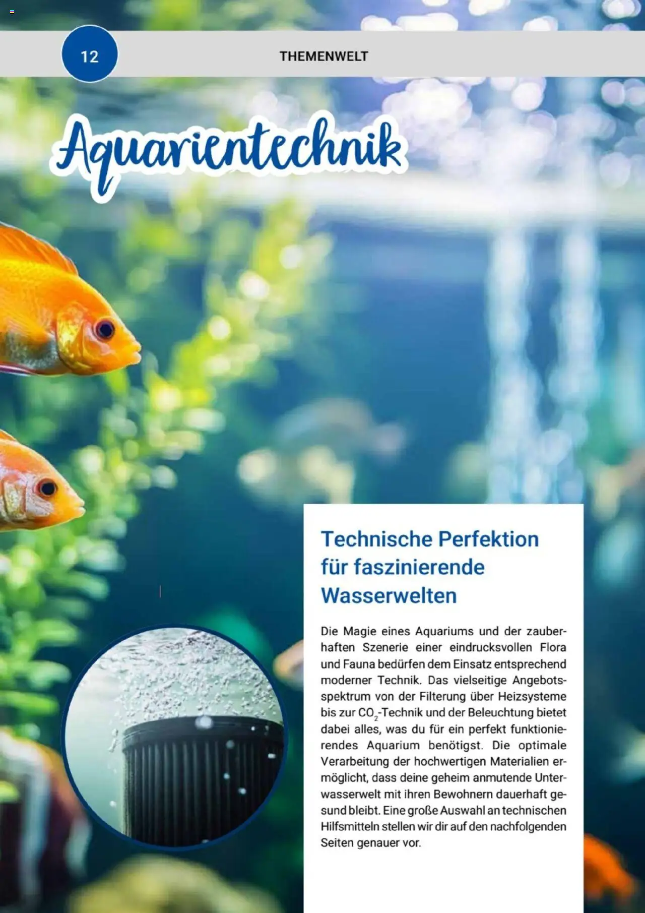 zookauf Themenkatalog Aquaristik - Seite 12 - gültig ab 01.10.2025