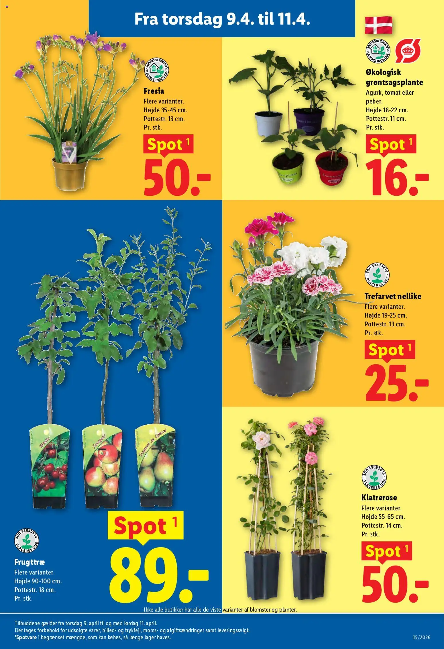Lidl - Tilbudsavis - page 31- valid from 07/04/2026