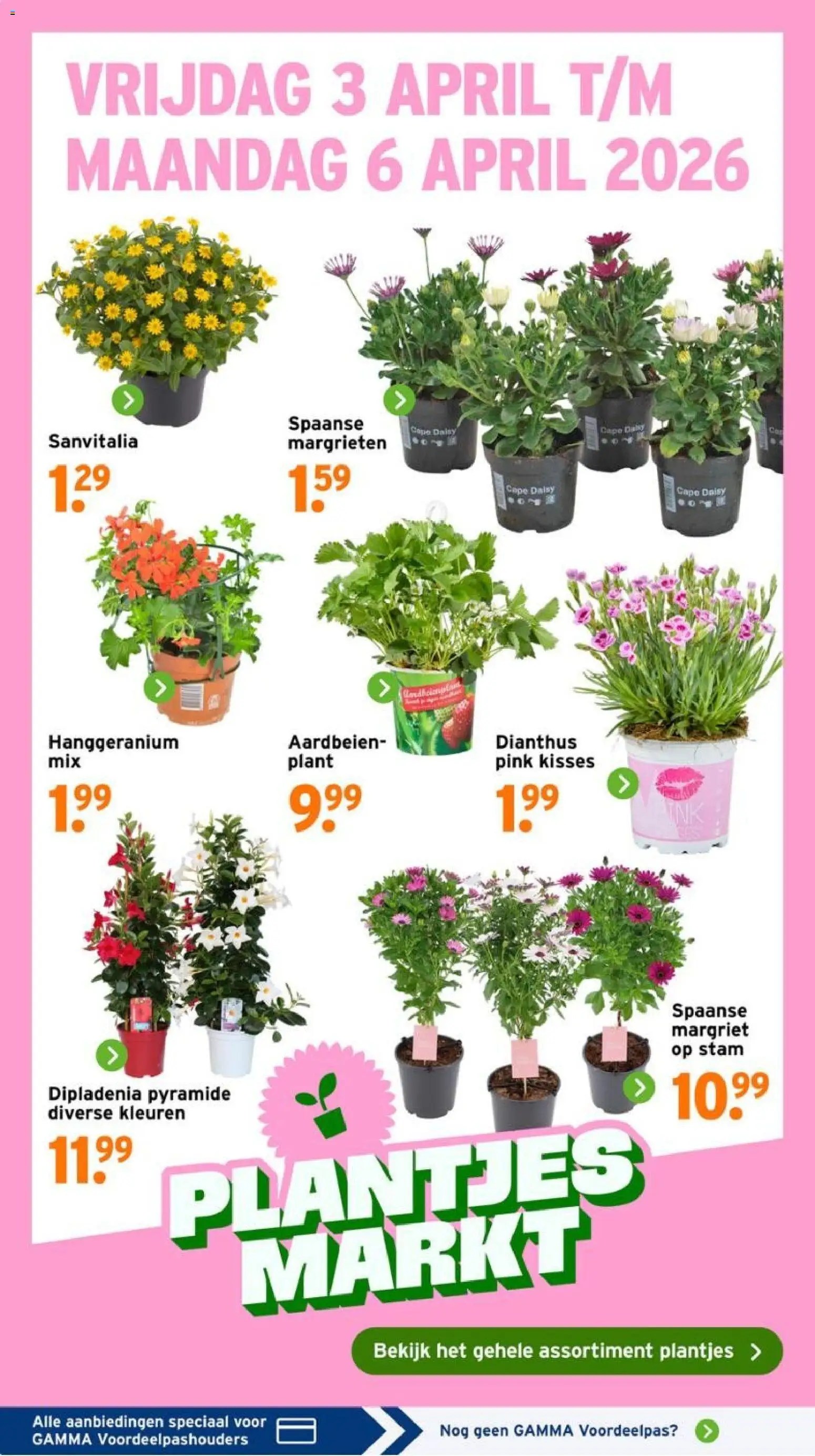 GAMMA folder - page 2- valid from 30-03-2026