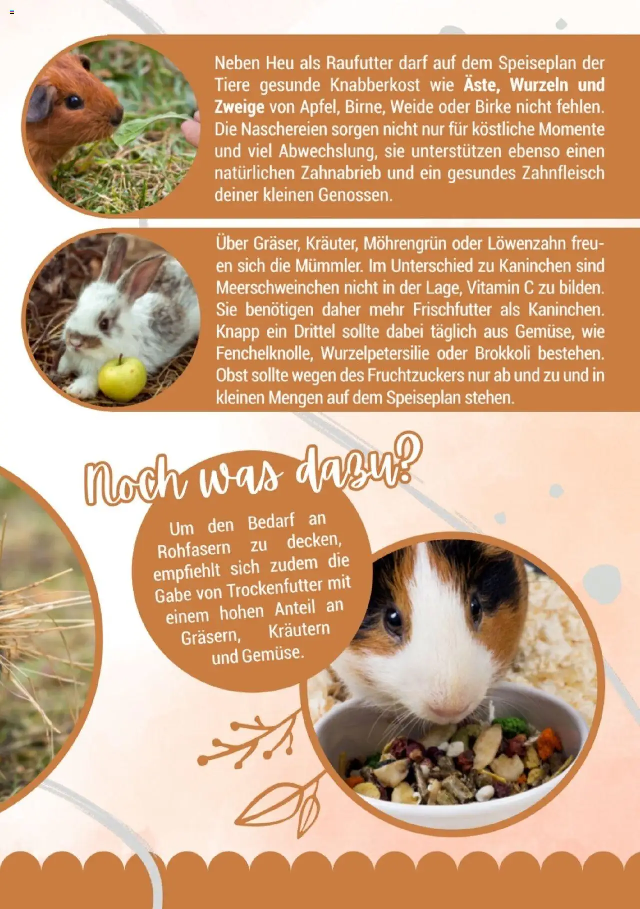 zookauf Kleintier Fibel - Seite 9 - gültig ab 05.06.2025