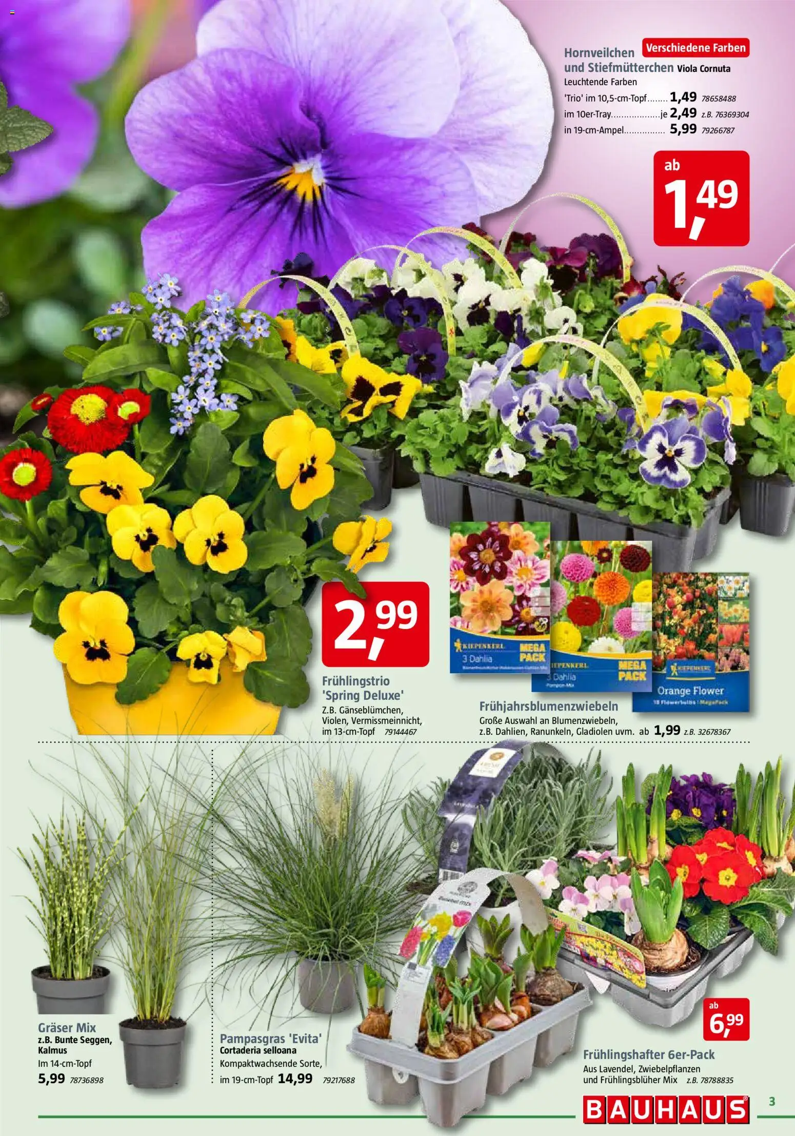 Bauhaus Prospekt 	 - Seite 3 - gültig ab 28.02.2026