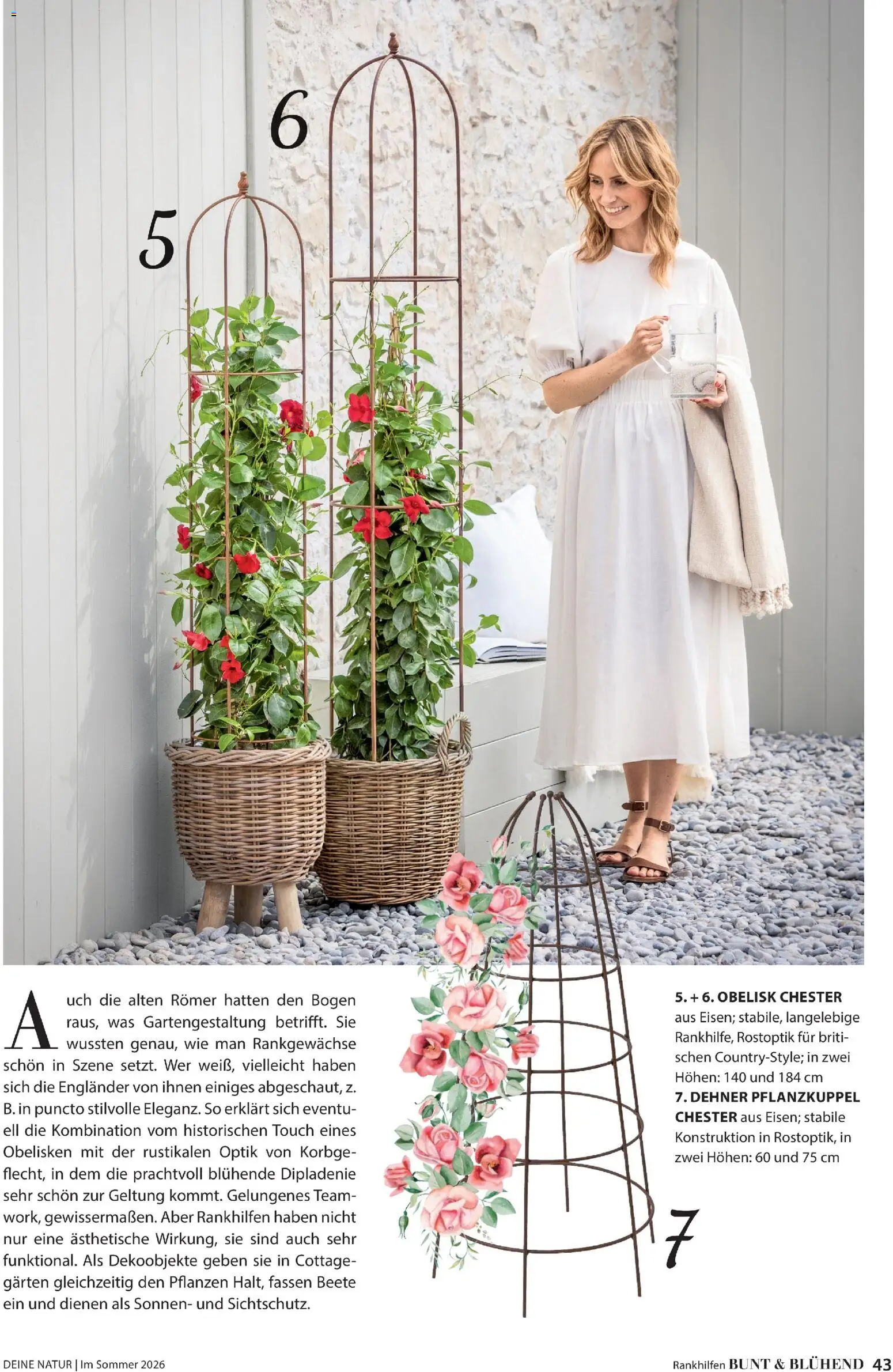 Dehner Prospekt 	 - Seite 43 - gültig ab 17.04.2026