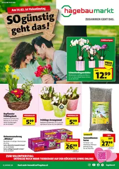 Vorschau Hartlauer Angebote gültig ab 02.02.2026