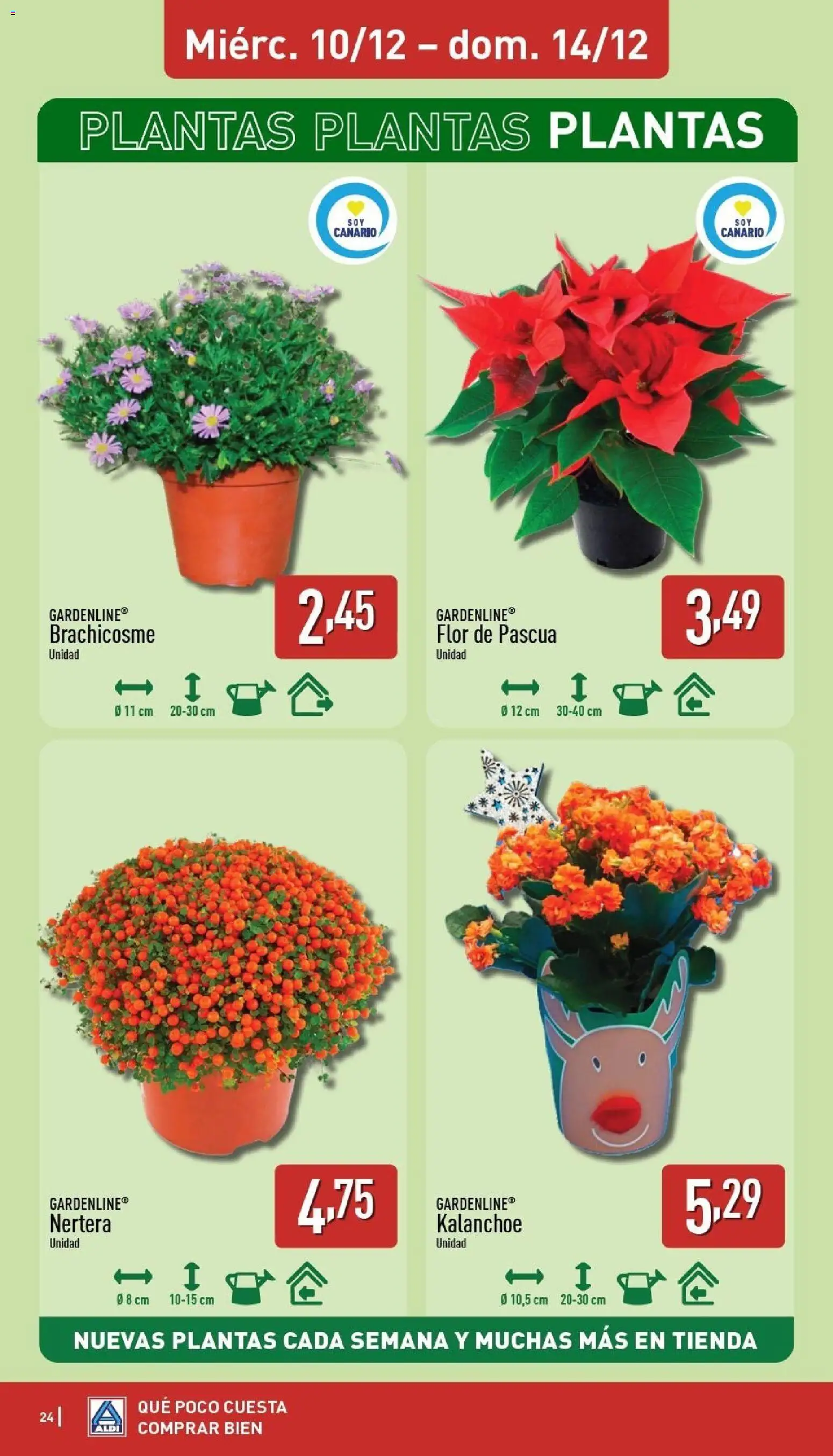 Aldi folleto Canarias - Página de 24 - Válido desde 08/12/2025