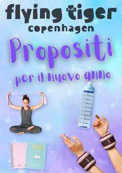 Anteprima Volantino Flying Tiger	 valida dal 29/12/2025