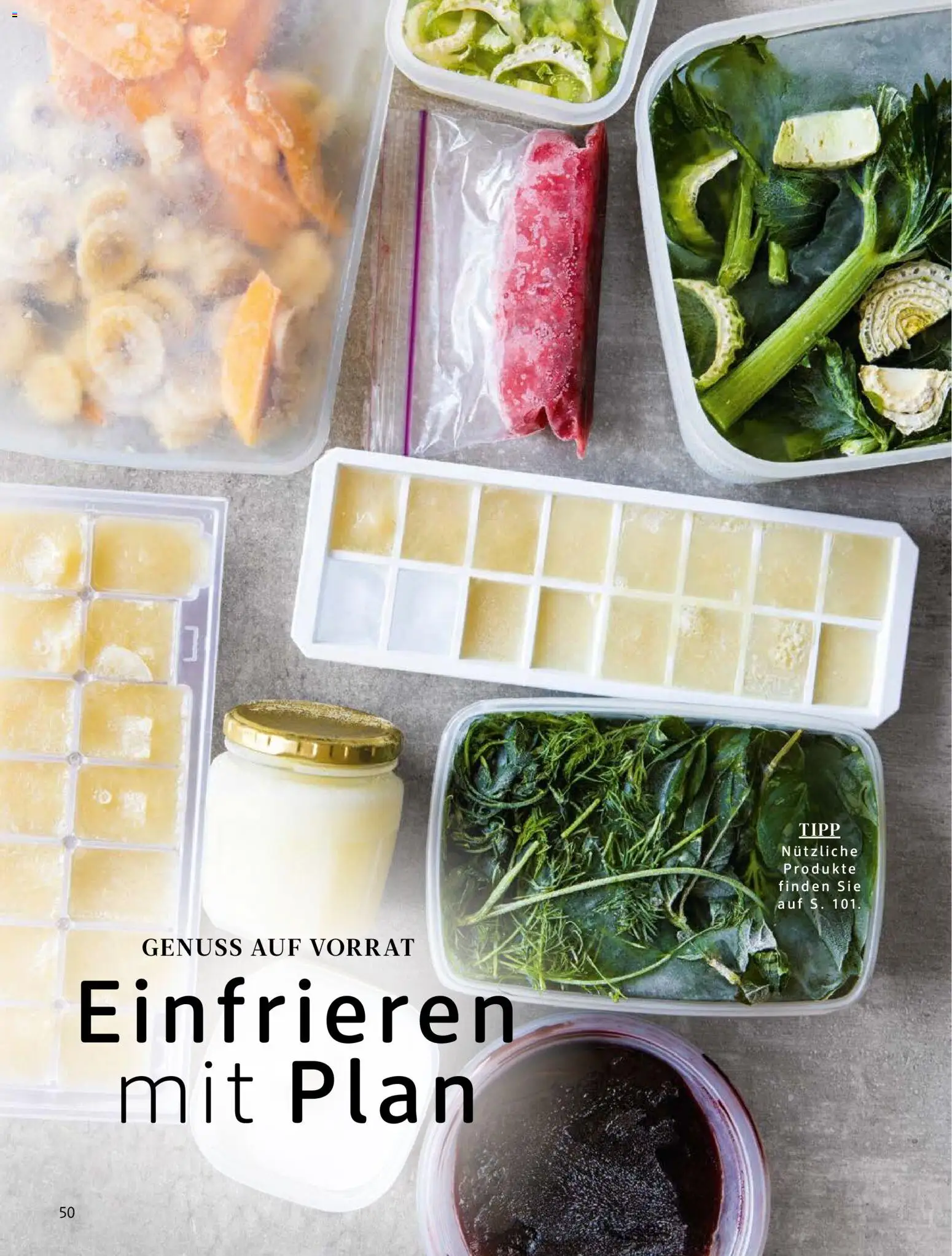 dm drogerie Prospekt 	 - Seite 50 - gültig ab 01.04.2026