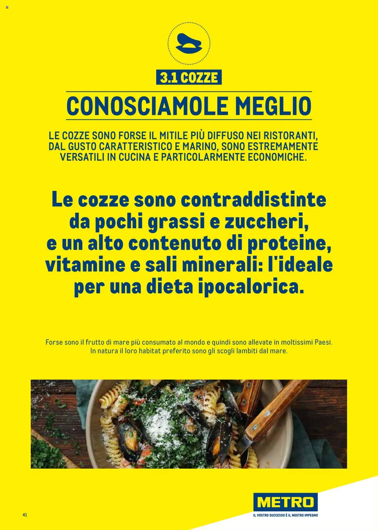 Metro Surgelati 2025 catalogo - pagina 41 - valido dal 30/06/2025