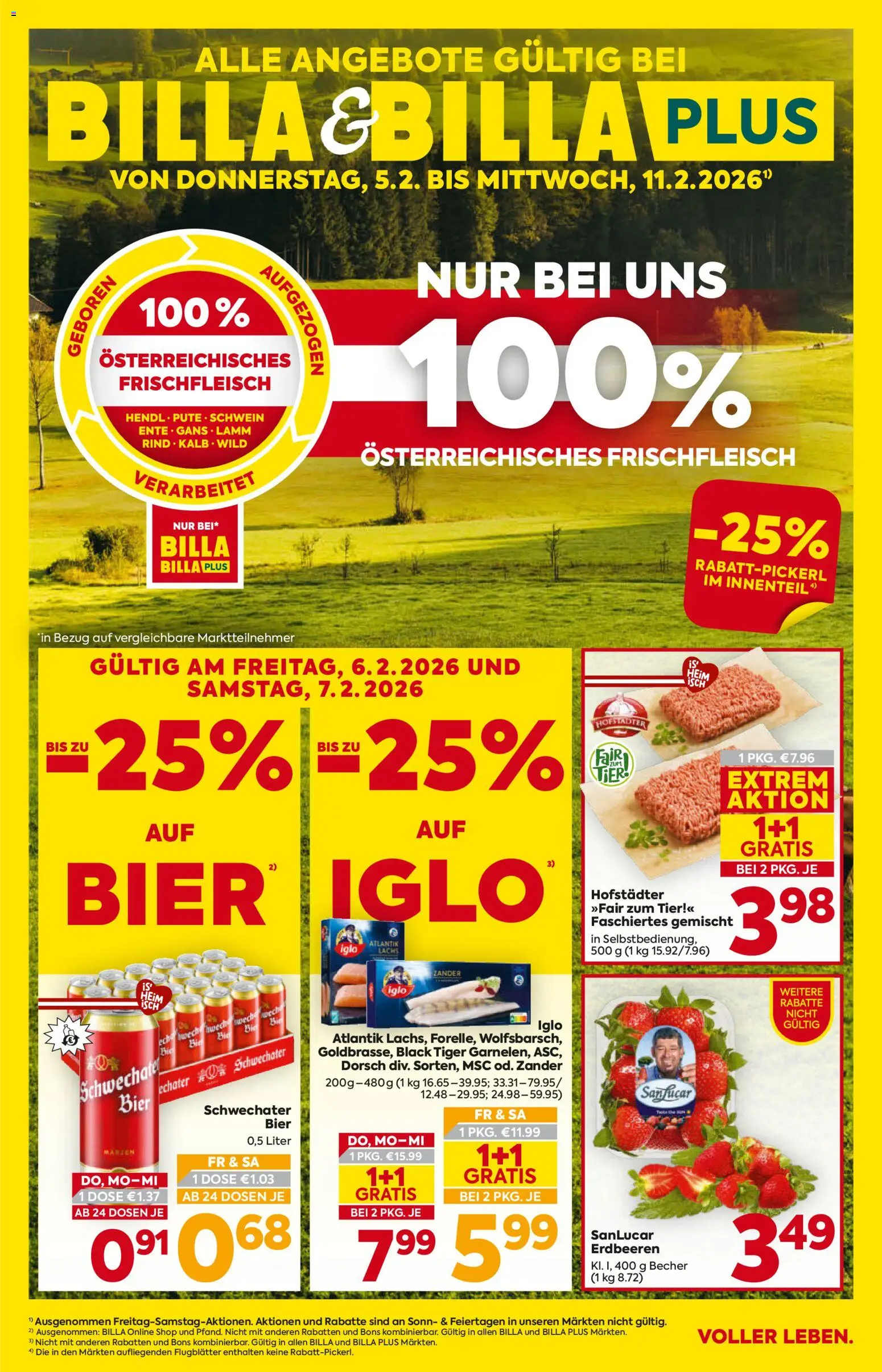 Billa Flugblatt - Seite 1- gültig ab 05.02.2026