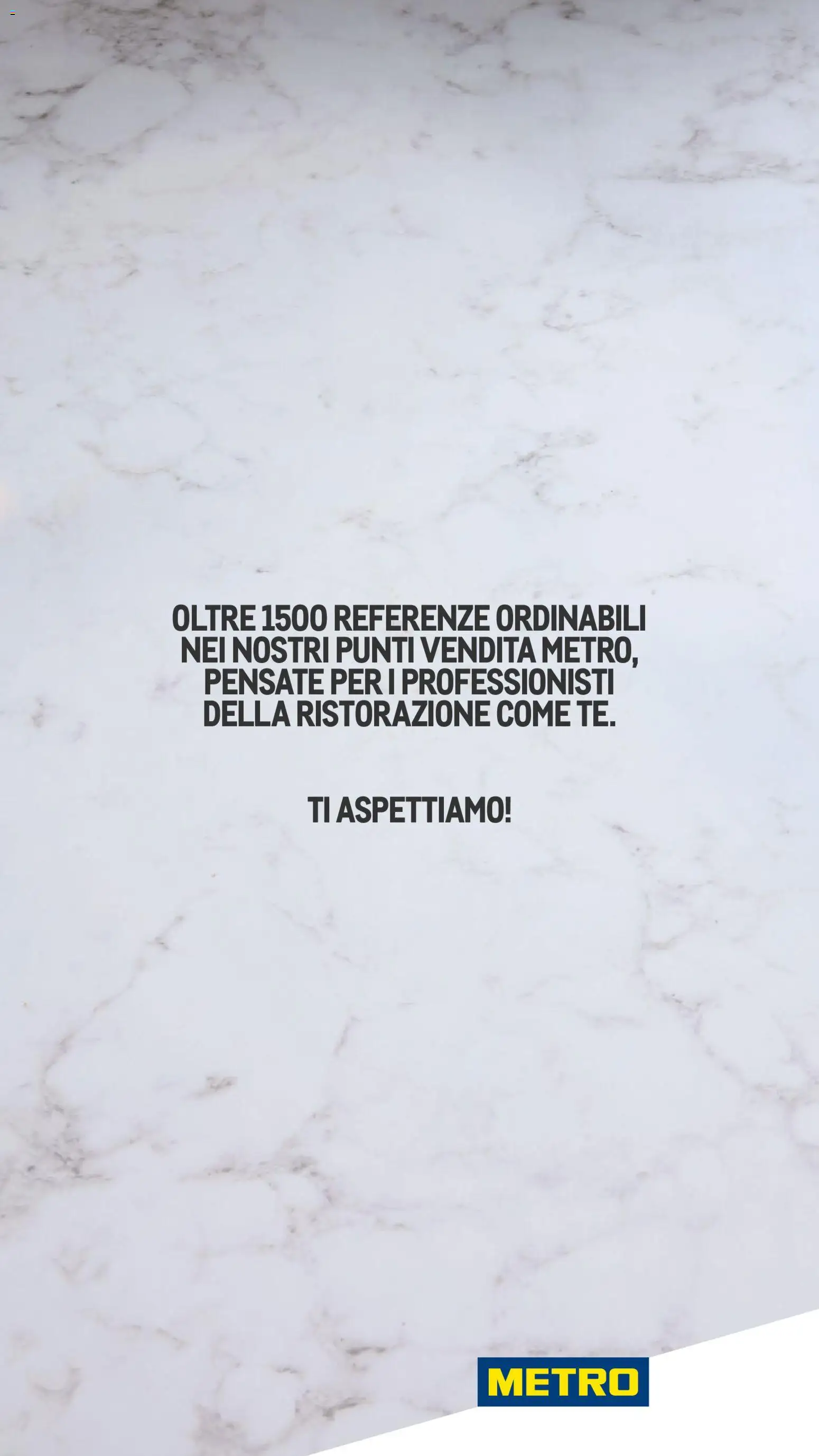 Metro Carne catalogo - pagina 21 - valido dal 26/11/2025