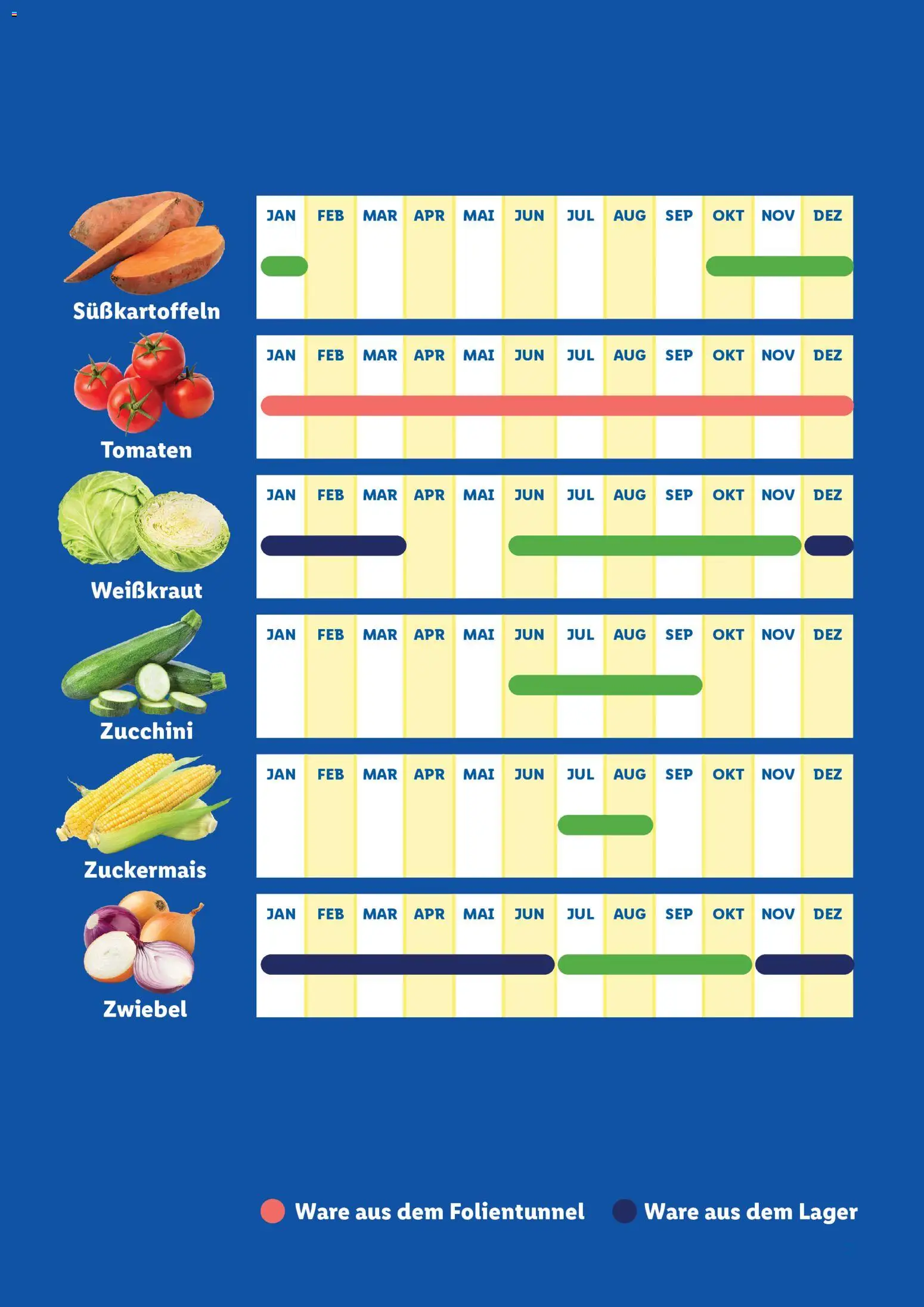 Lidl  Saisonkalender - Obst und Gemüse - page 7- valid from 01.01.2026