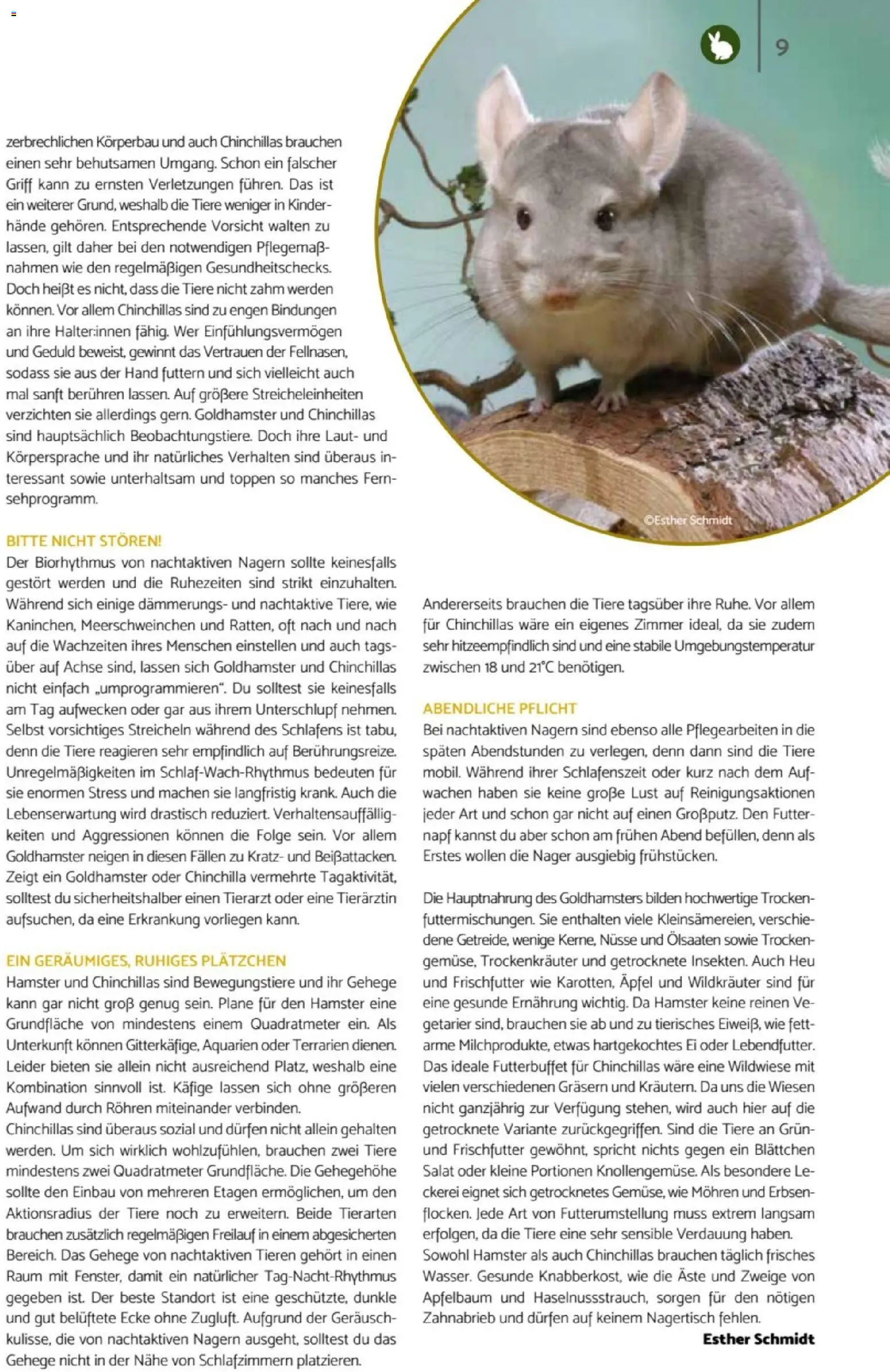 zookauf  Heimtier Journal - Seite 9 - gültig ab 01.02.2026