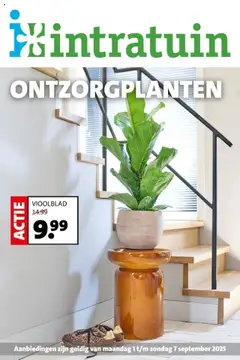 Intratuin - Folder geldig vanaf 01-09-2025