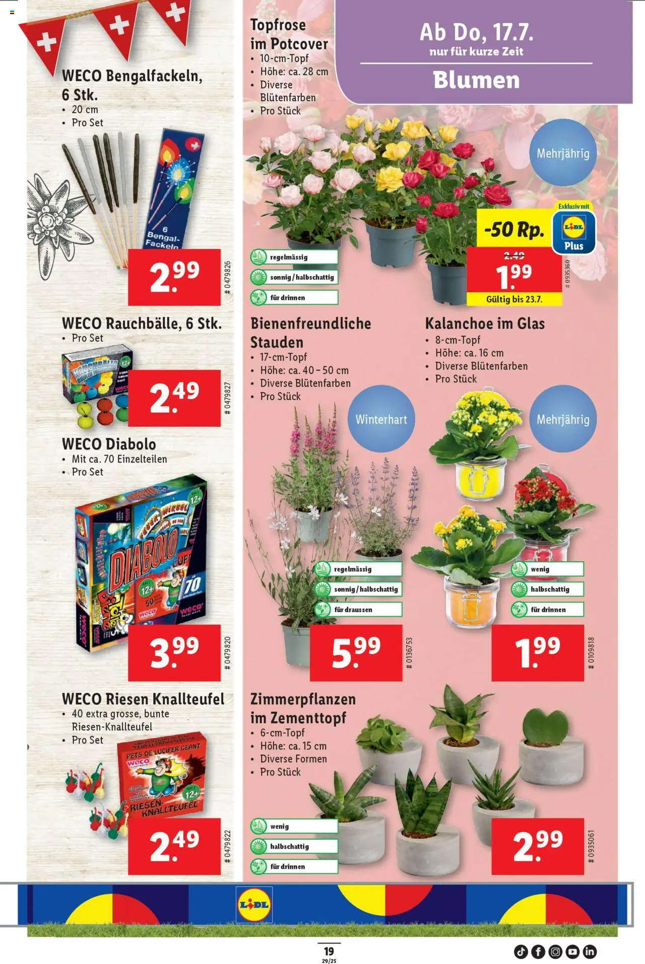 Lidl Aktionen - Seite 21- gültig ab 17.07.2025