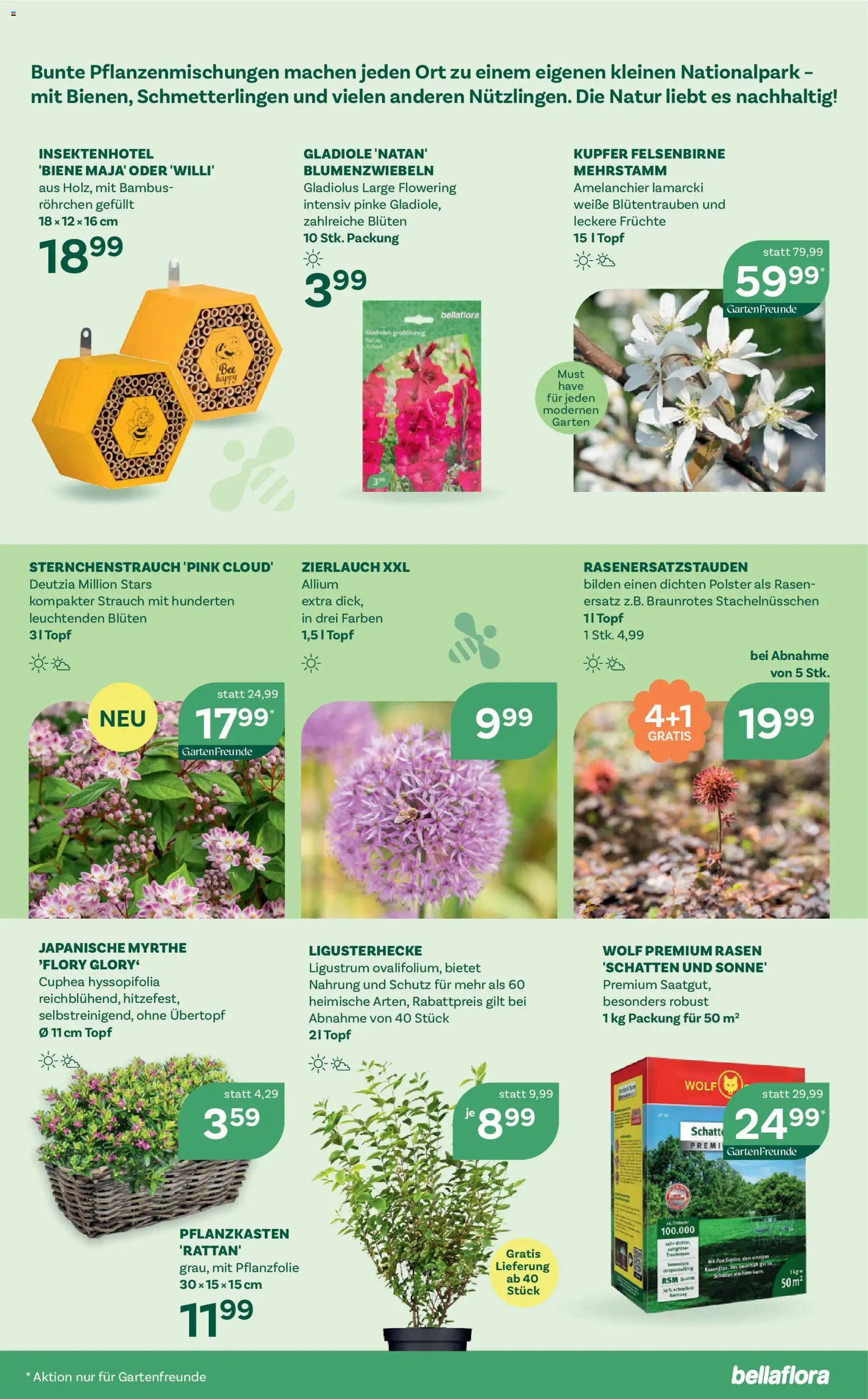 bellaflora Flugblatt - page 9- valid from 02.04.2026