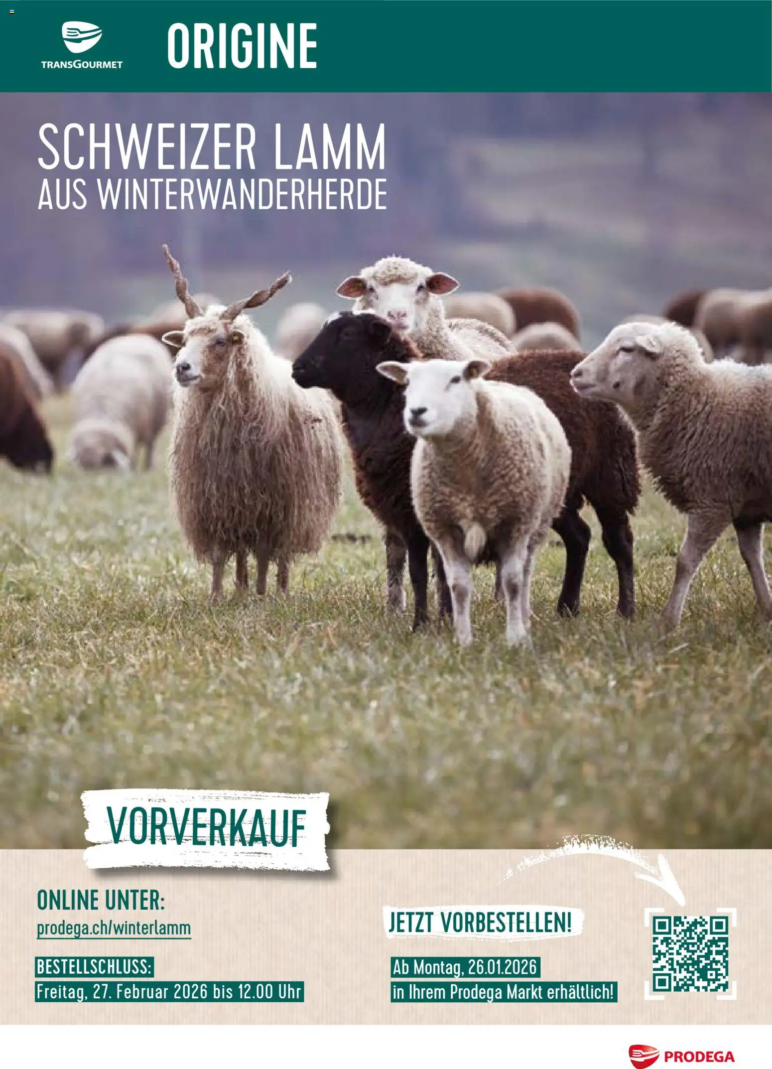 Prodega Aktionen Schweizer Lamm - Seite 1- gültig ab 26.01.2026