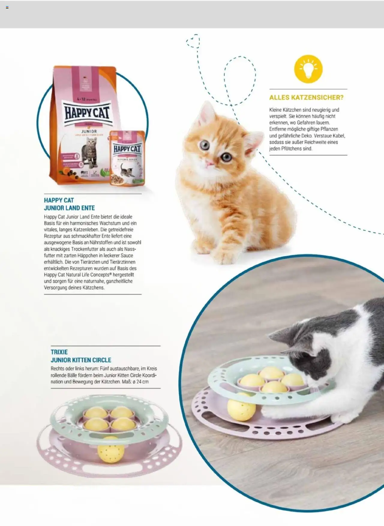 zookauf Themenkatalog Katze - Seite 7 - gültig ab 01.10.2025