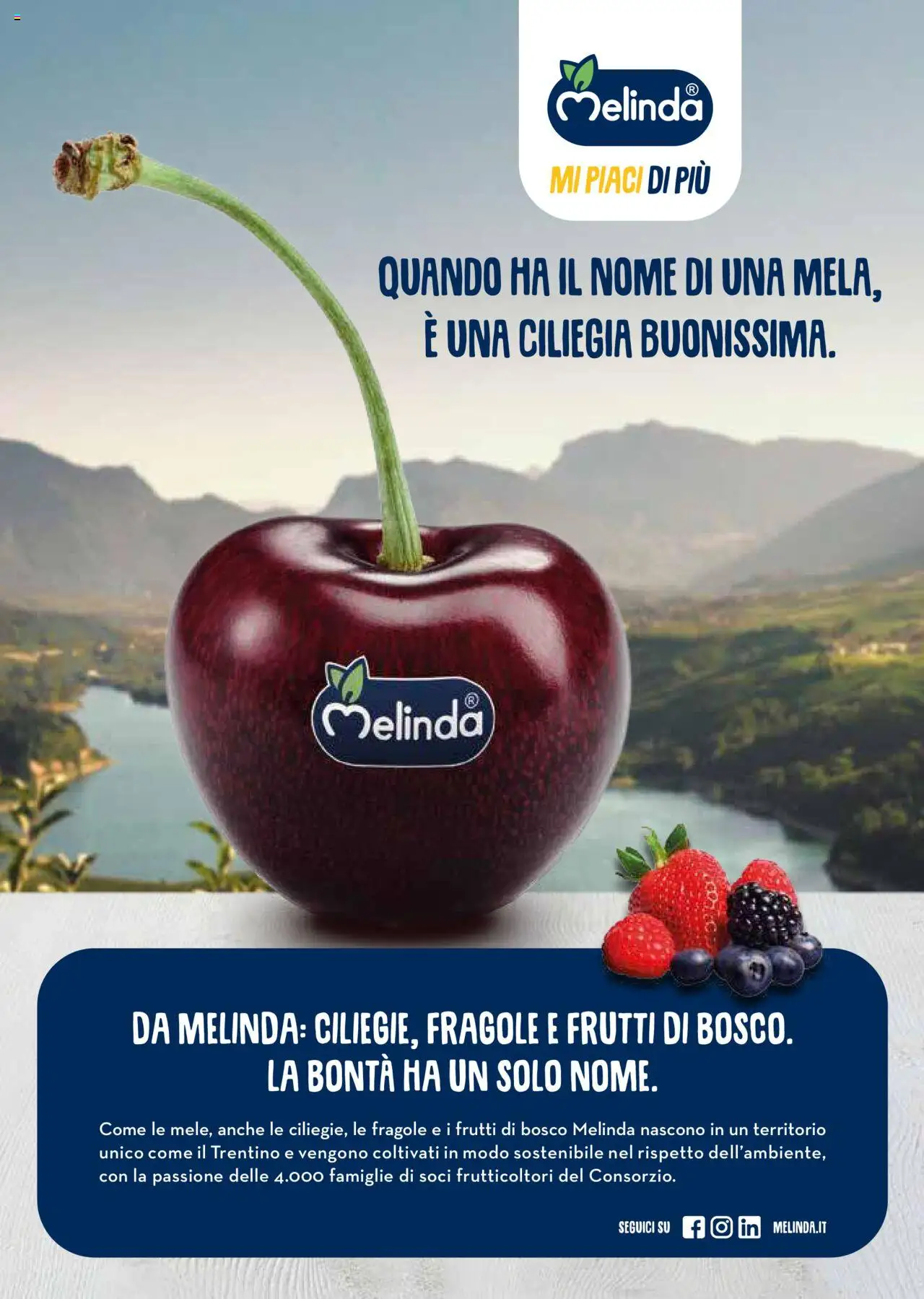 Gulliver Gulli catalogo - pagina 18 - valido dal 27/06/2025