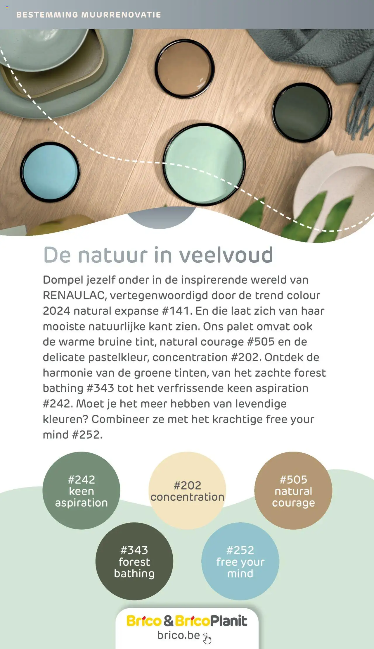Brico Plan-it Zomer Projecten! - pagina 101- geldig vanaf 28/04/2025