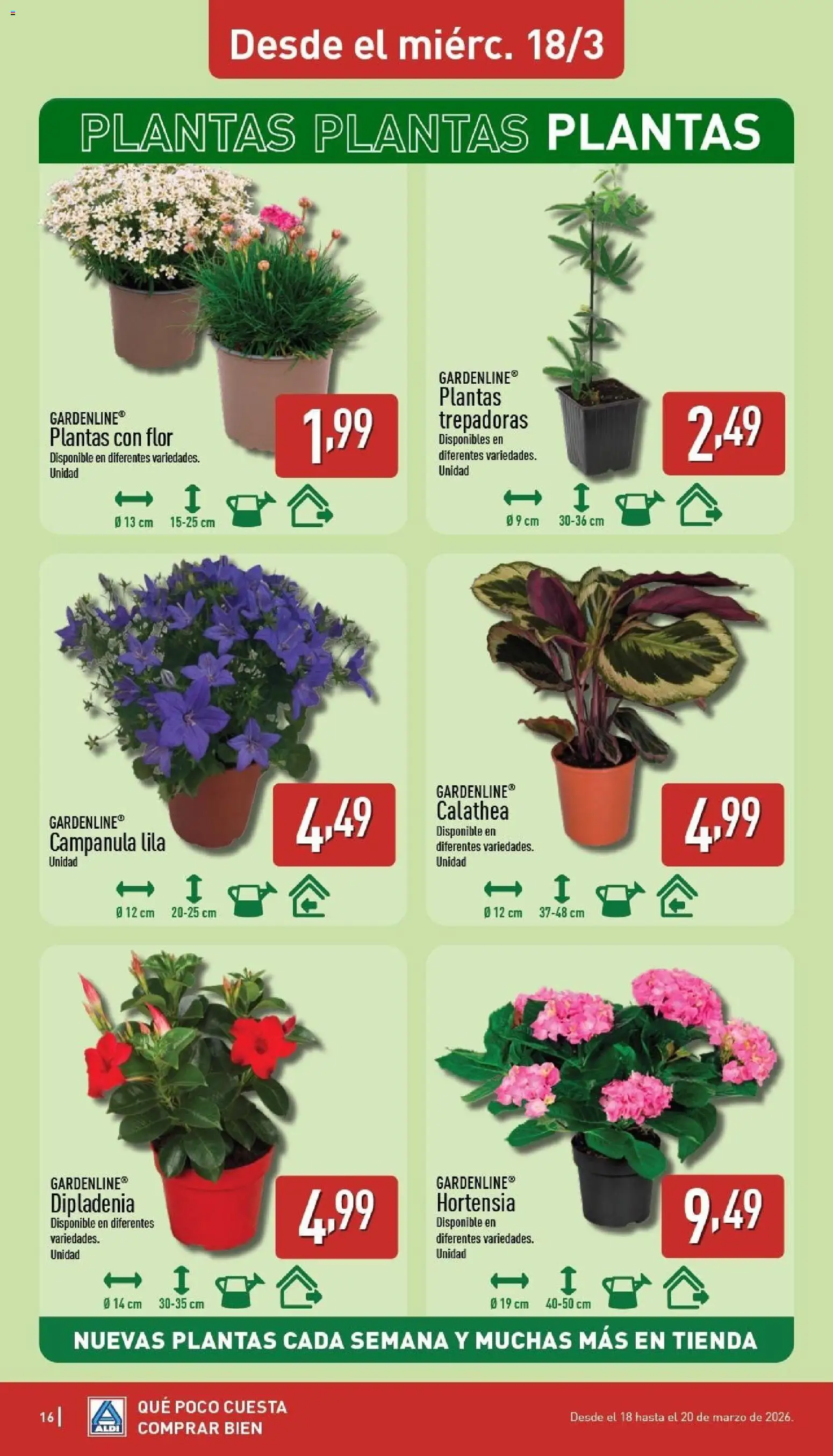 Aldi folleto Península - Página de 16 - Válido desde 16/03/2026