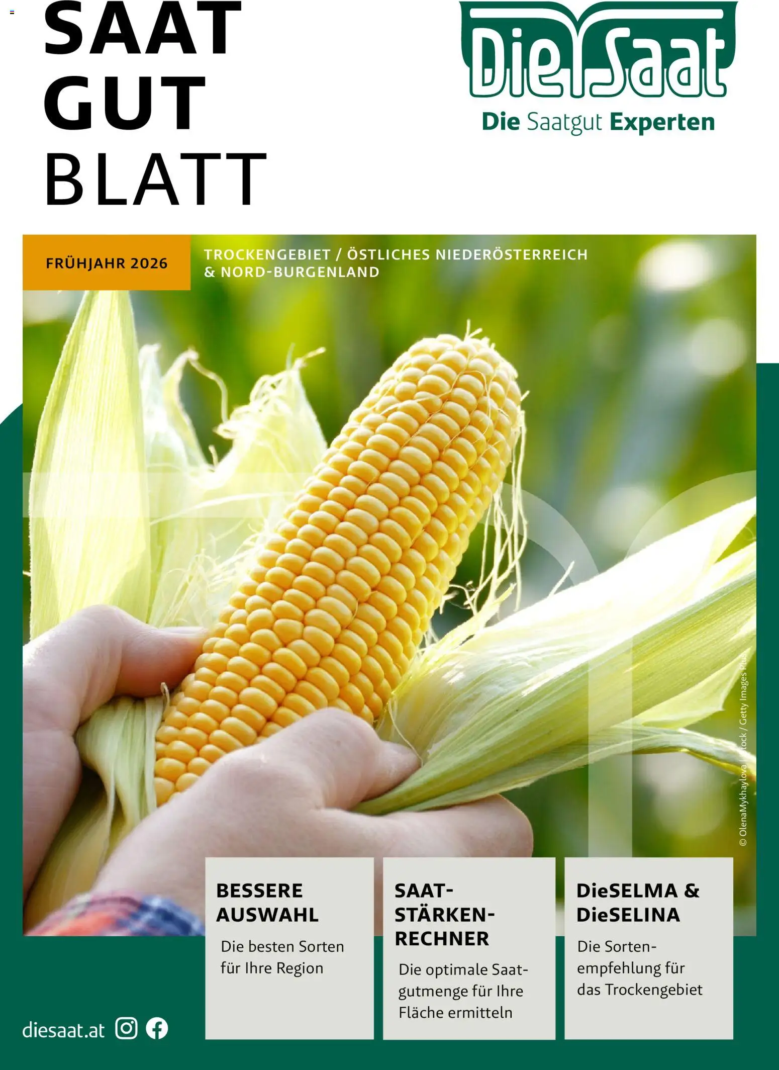 Lagerhaus - Frühjahr 2026 Östliches  Niederösterreich - Seite 1- gültig ab 01.03.2026