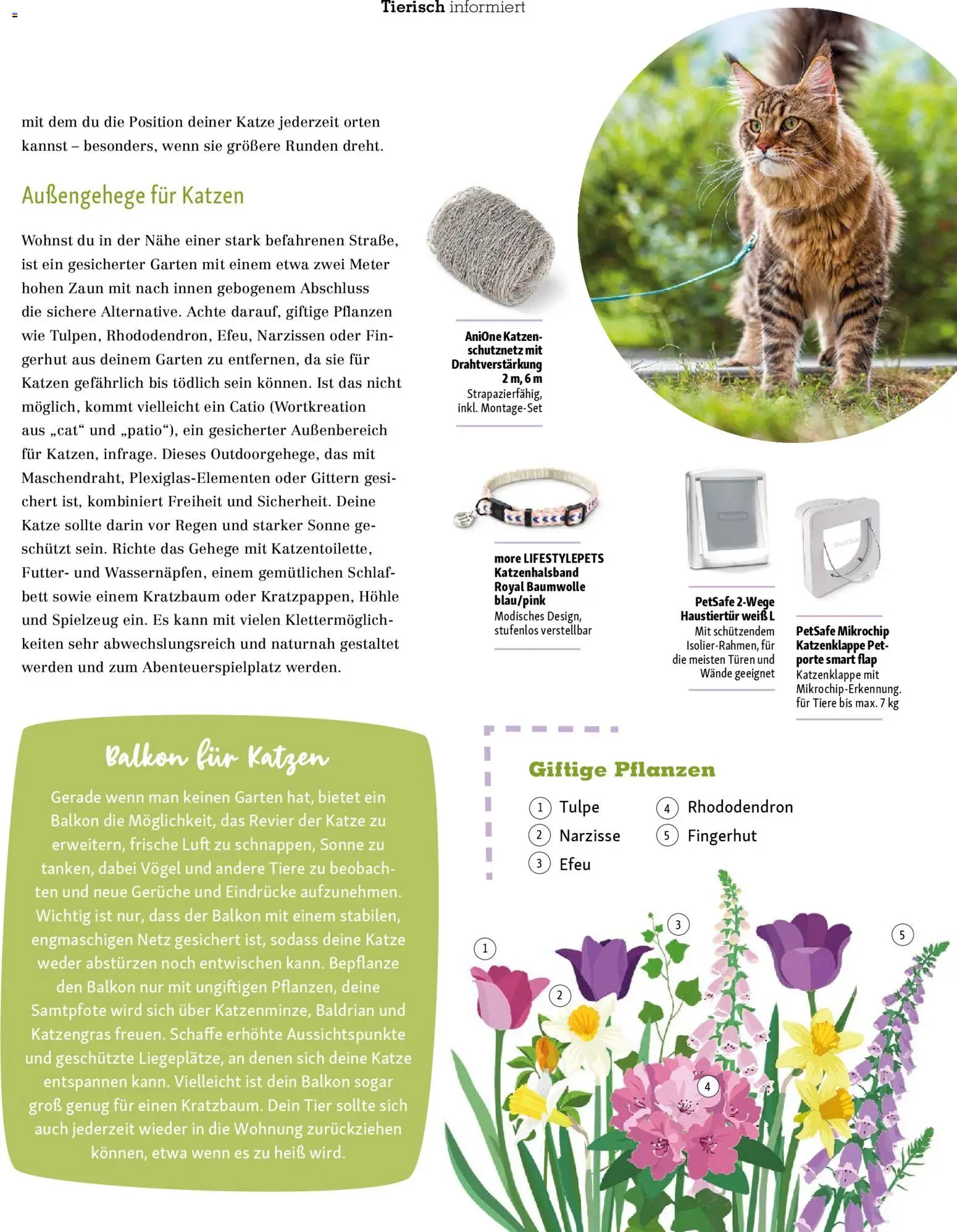 Fressnapf Friends Magazin - Seite 23 - gültig ab 02.03.2026