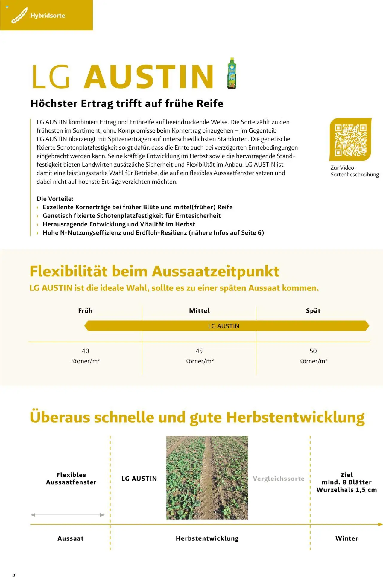 Lagerhaus Das Fachblatt für den Rapsanbau - Seite 2- gültig ab 28.05.2025