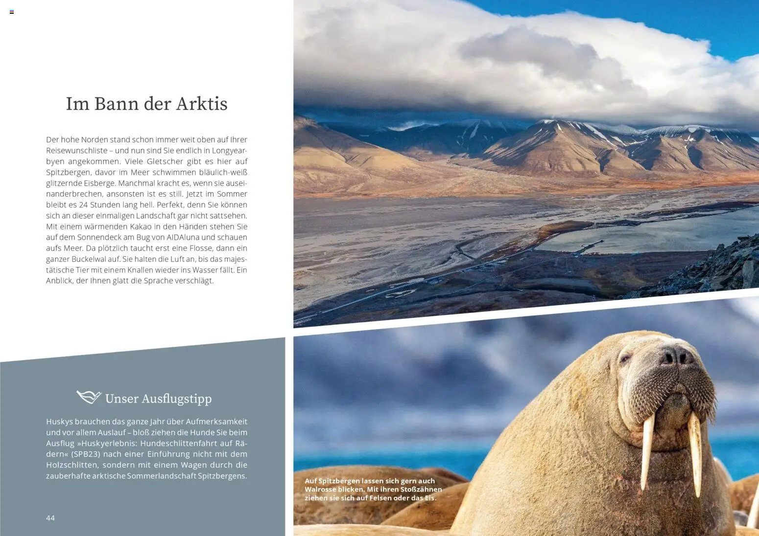 Aida AIDAselection - Seite 44 - gültig ab 01.04.2026