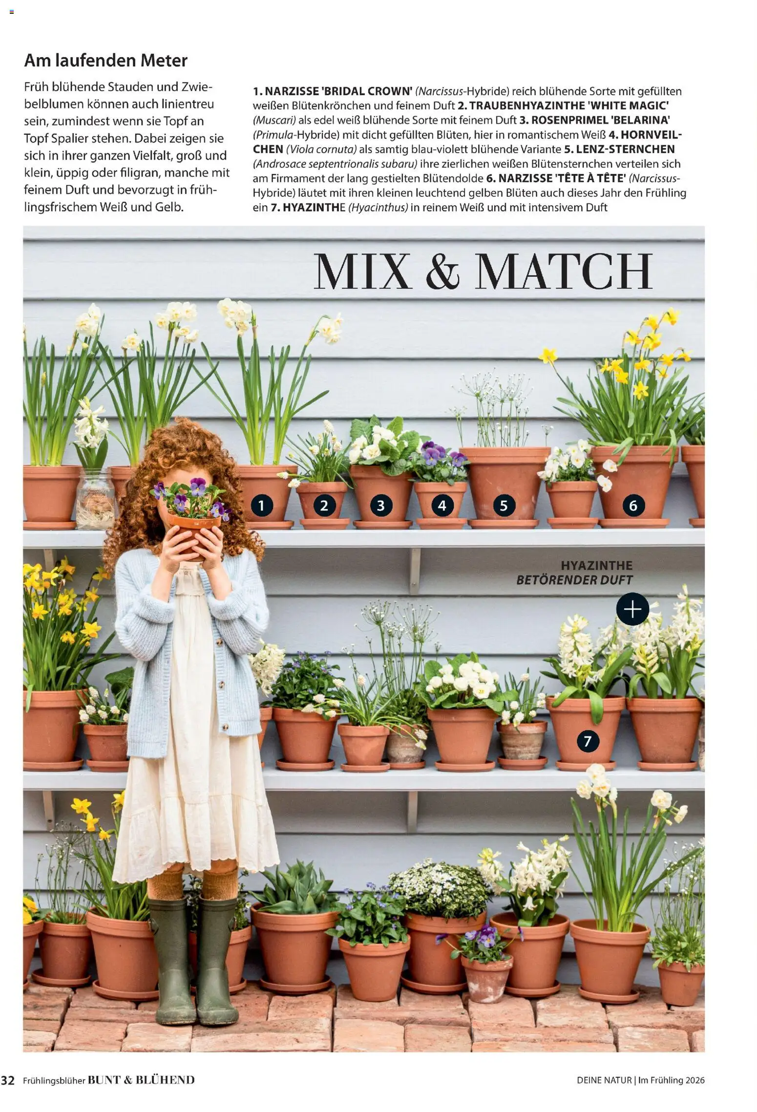 Dehner Flugblatt - page 32- valid from 05.03.2026