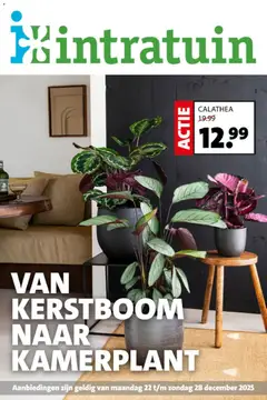 Intratuin - Folder geldig vanaf 22-12-2025