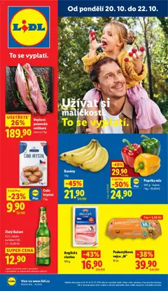 Náhled Lidl leták platný od 20.10.2025