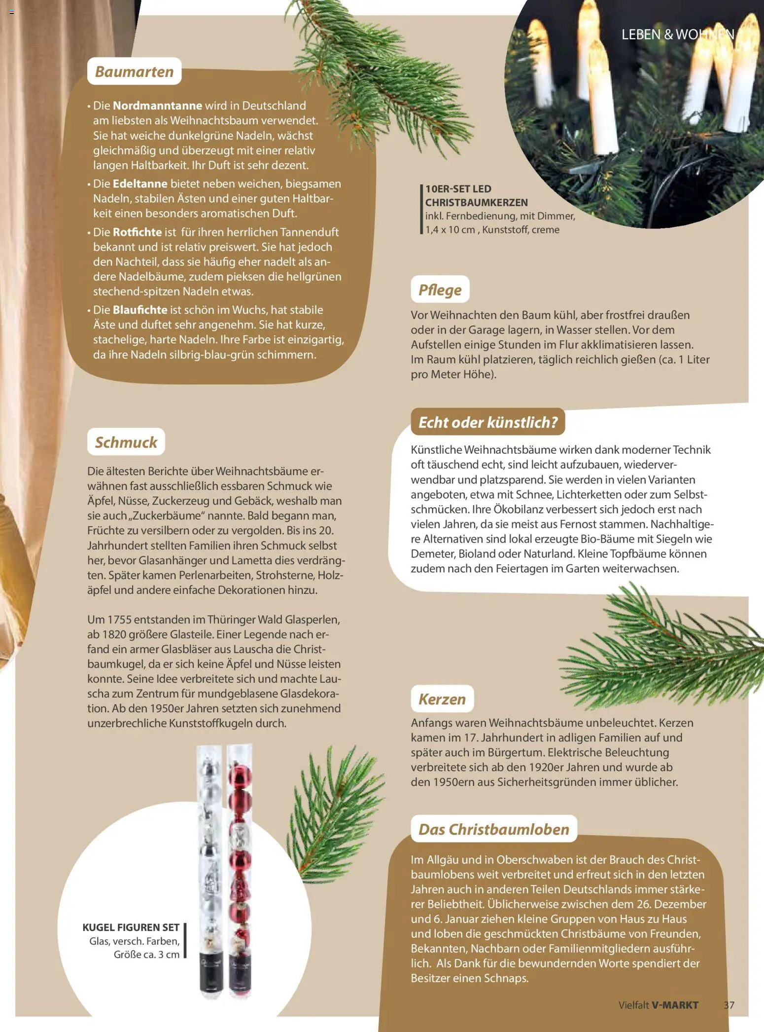 V-Markt - Vielfalt November / Dezember 2025 - Seite 37 - gültig ab 01.11.2025