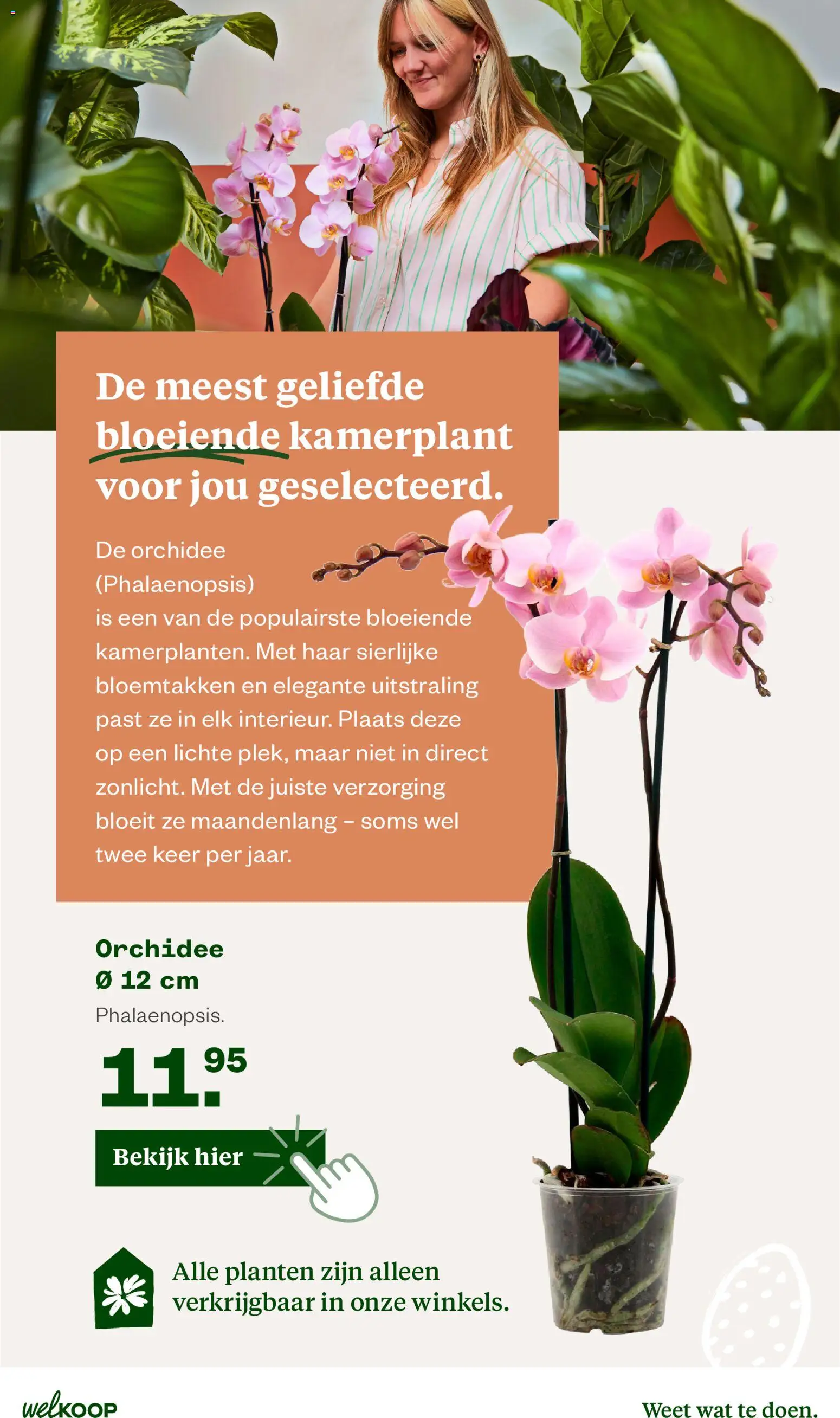 Welkoop folder - page 8- valid from 30-03-2026