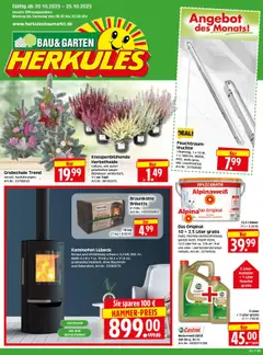 Vorschau HERKULES Bau & Garten gültig ab 20.10.2025