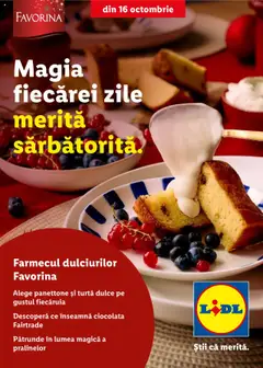 Lidl catalog - Crăciun valabil de la 16.10.2025