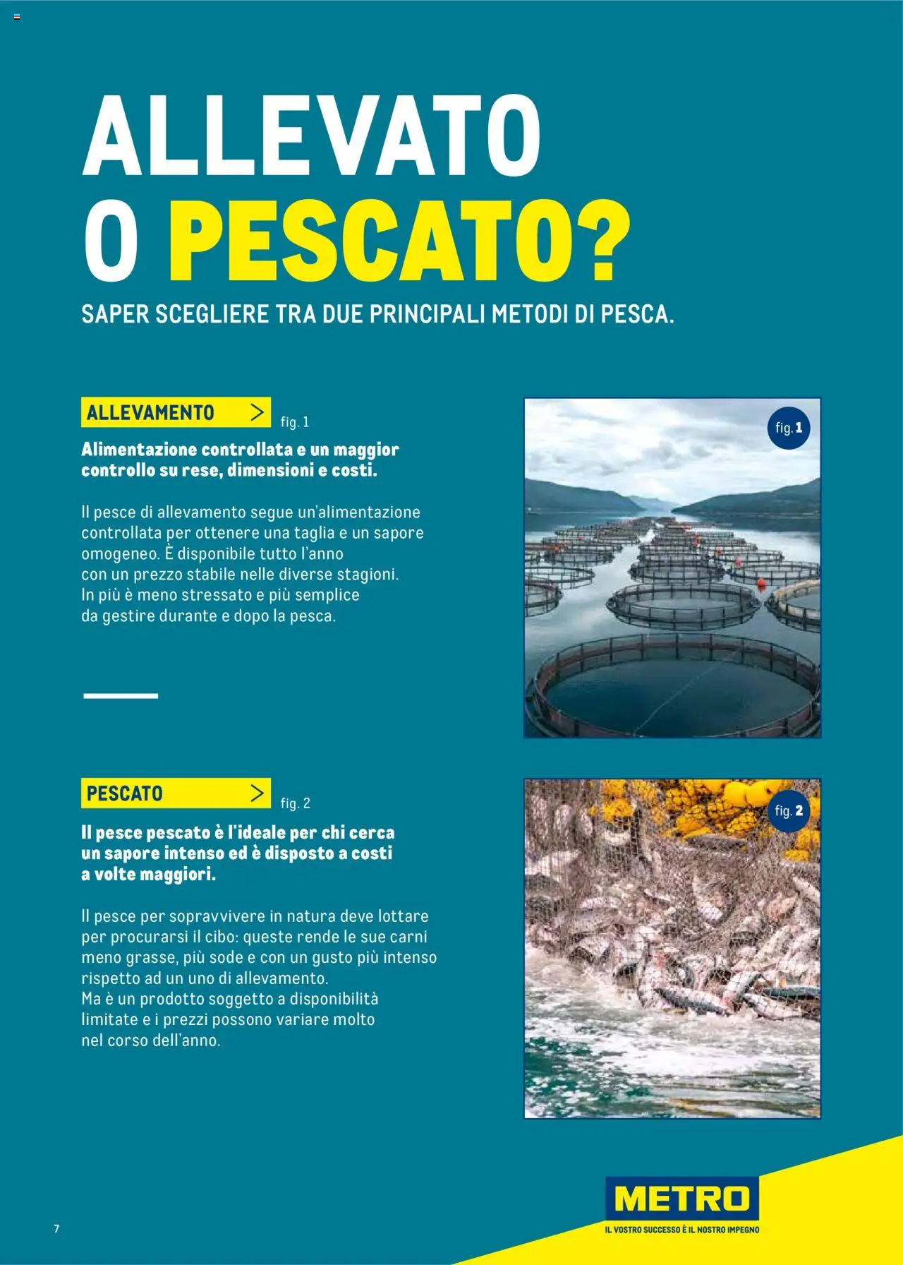 Metro Surgelati 2025 catalogo - pagina 7 - valido dal 30/06/2025