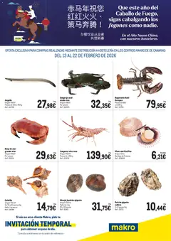 Vista previa del folleto Makro - Año Nuevo Chino Canarias válido desde 13/02/2026