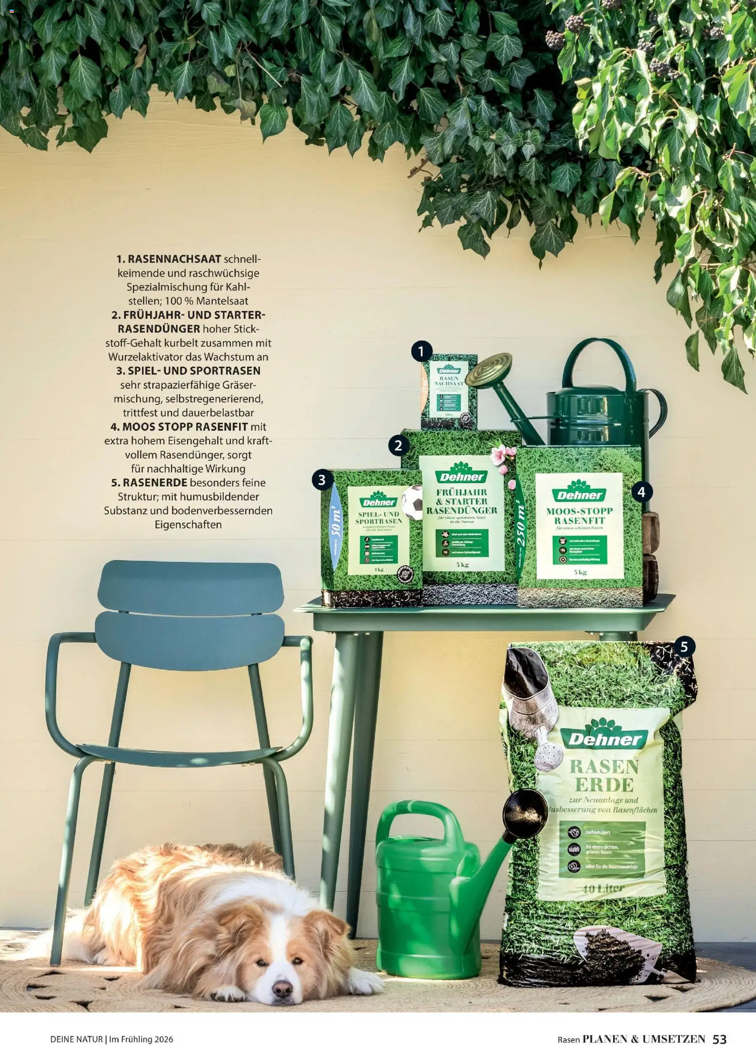 Dehner Flugblatt - page 53- valid from 05.03.2026