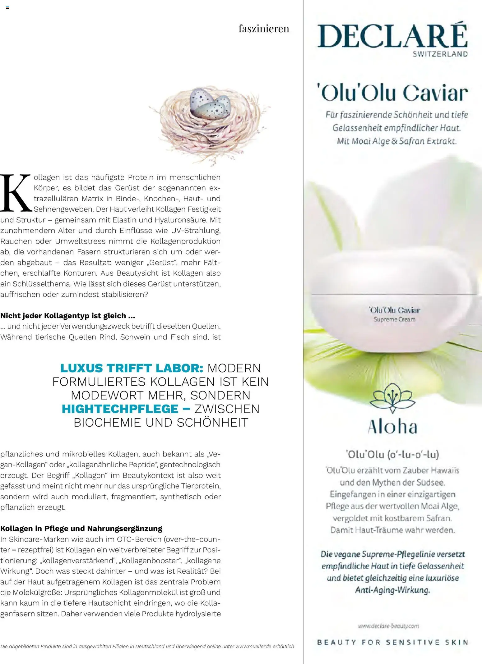 Müller Lifestyle - Seite 11 - gültig ab 12.03.2026